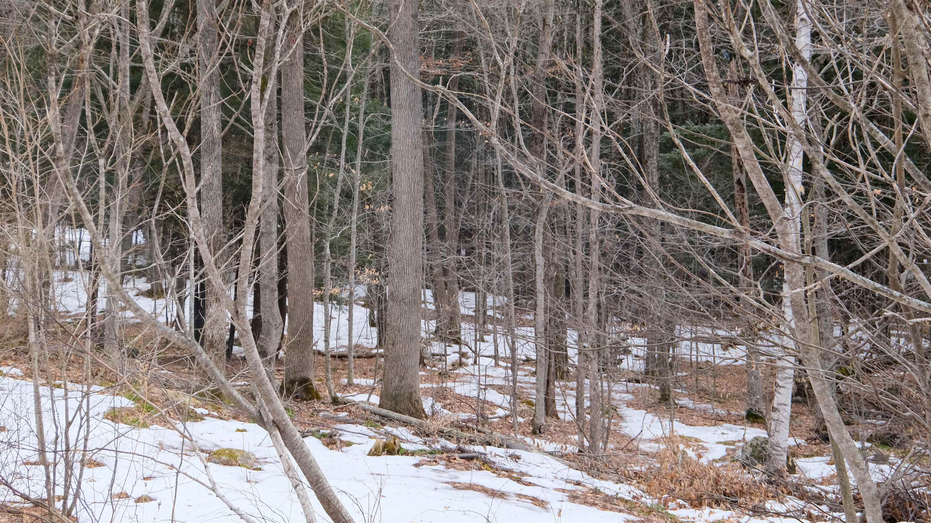 0 Kestrell Drive 2-73