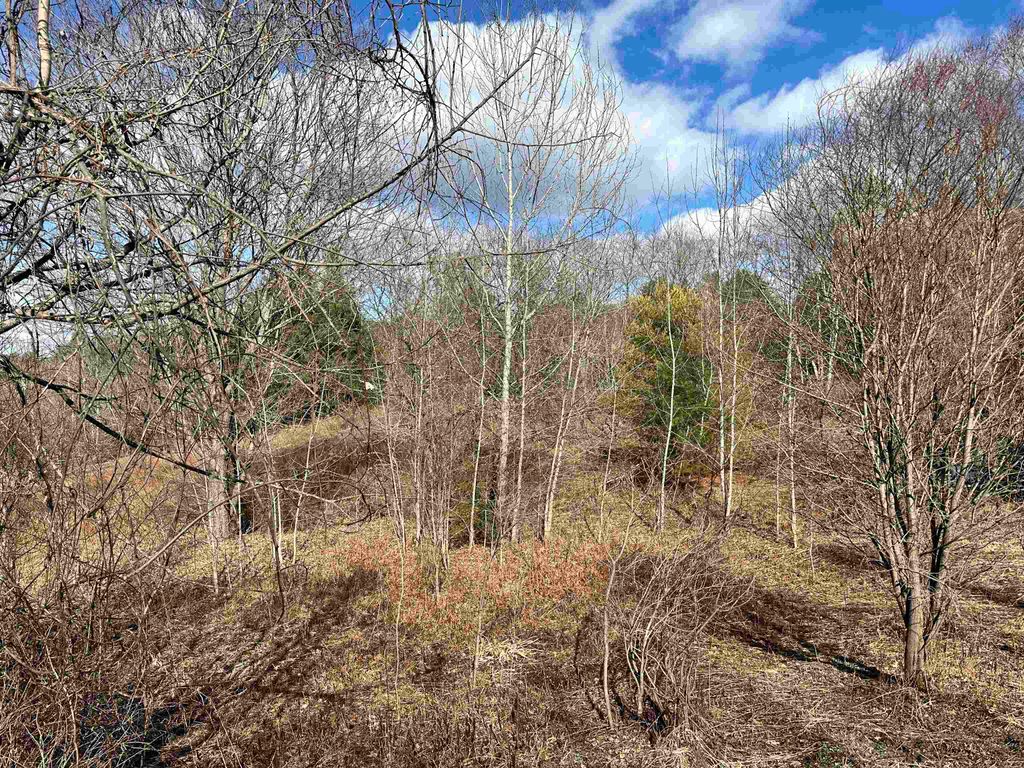 Photo of 000 Hodge Hill Road #59, Lisbon, NH 03585 (MLS # 5039082)
