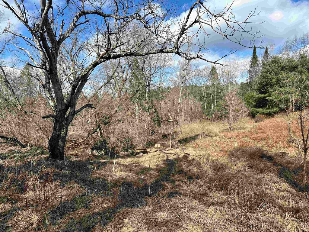 Photo of 000 Hodge Hill Road #59, Lisbon, NH 03585 (MLS # 5039082)