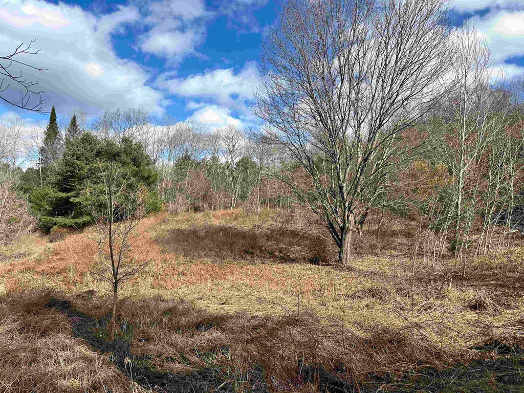 Photo of 000 Hodge Hill Road #59, Lisbon, NH 03585 (MLS # 5039082)
