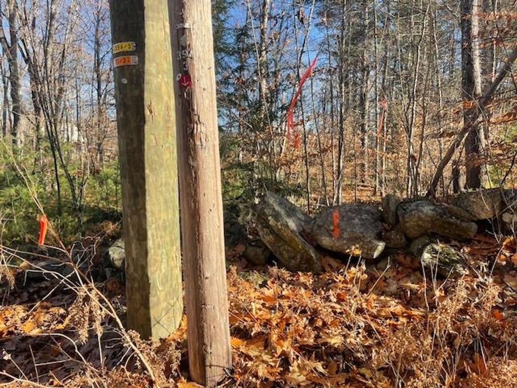 Photo of 5 Lyford Road, Brookfield, NH 03872 (MLS # 5069737)