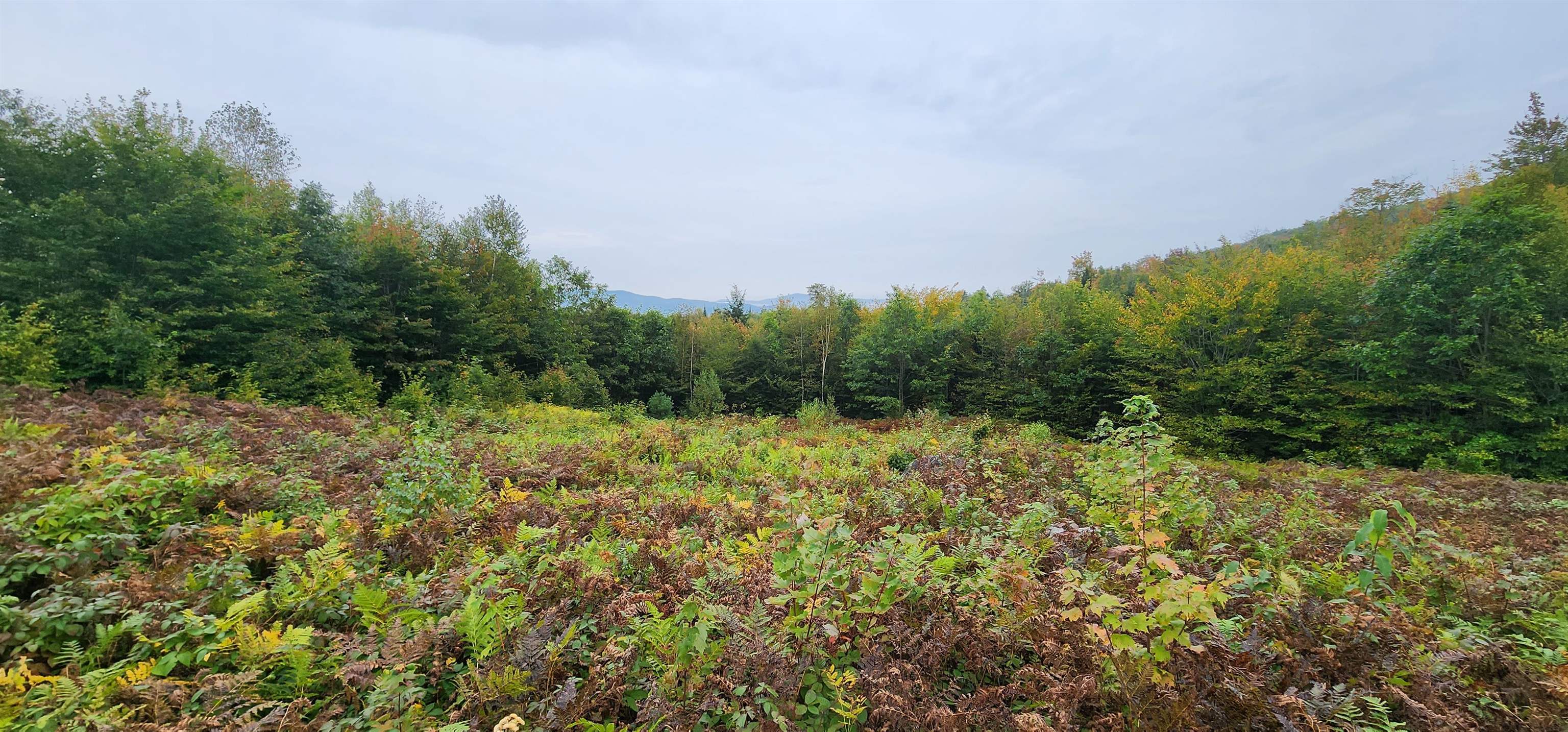 Lot 26 Skyline Drive