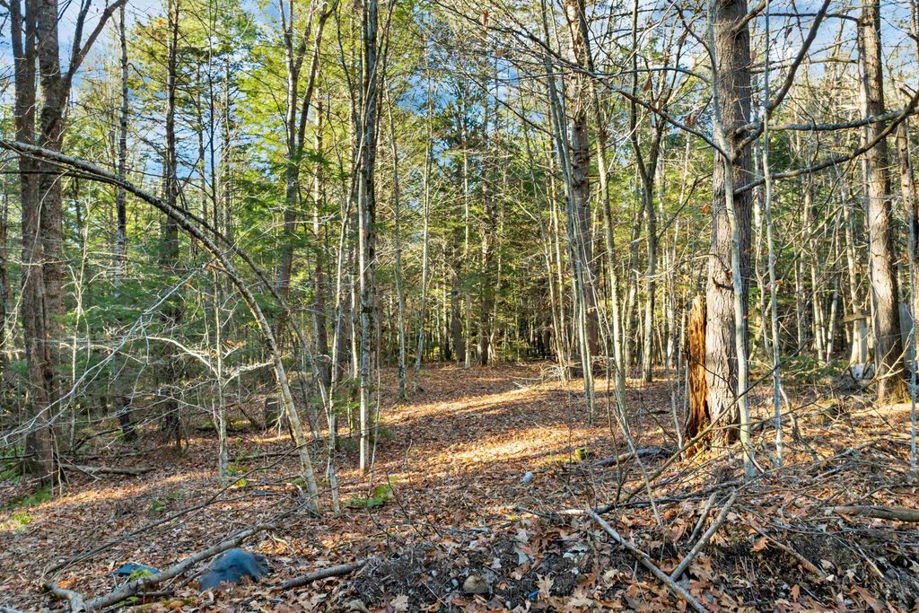 Photo of 00 Borough Road, Alexandria, NH 03222 (MLS # 5070490)