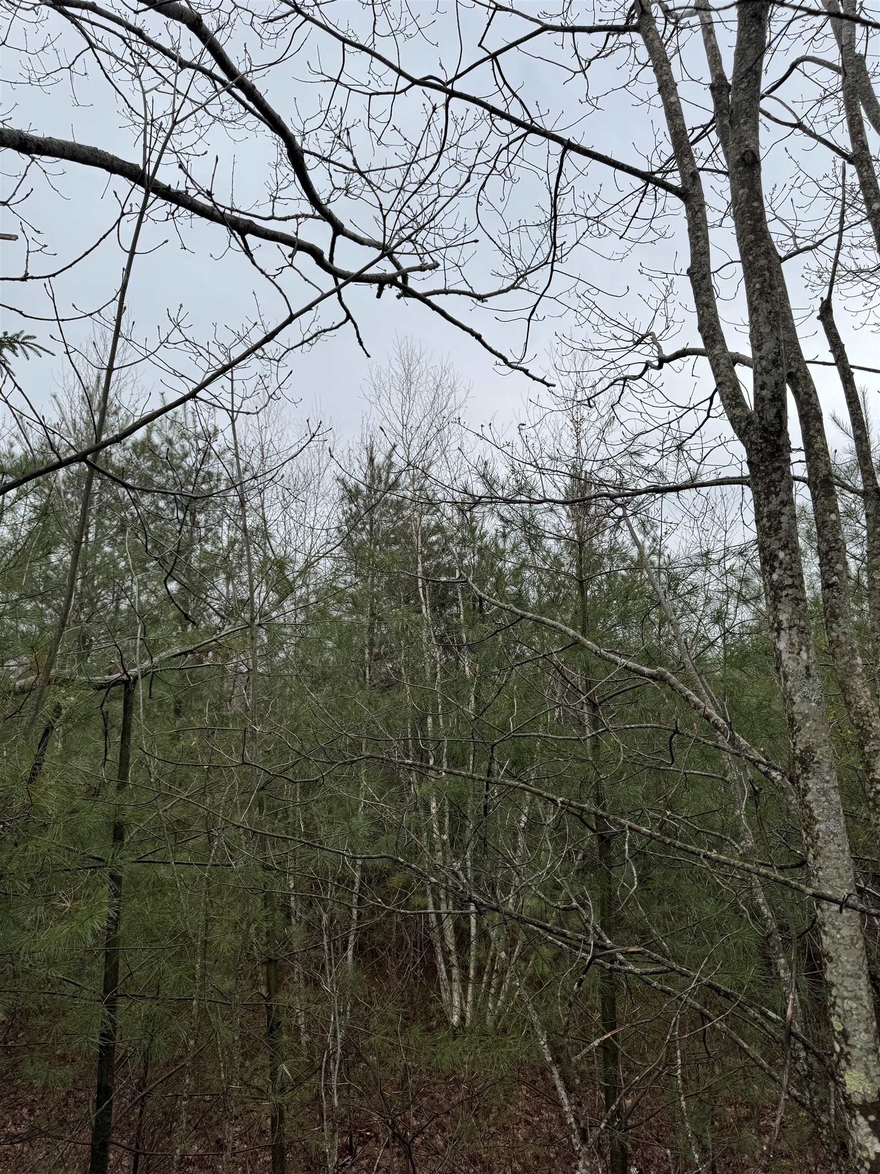 TBD Mason Road