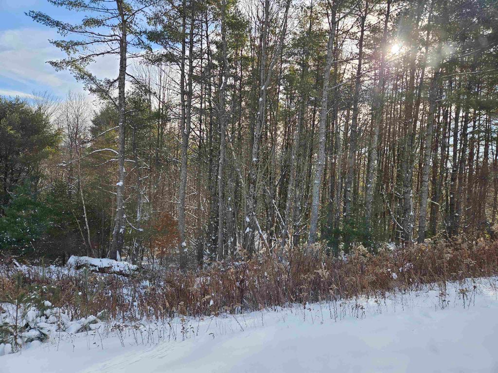 Photo of 31 Off Parker Road, Lisbon, NH 03585 (MLS # 5078578)