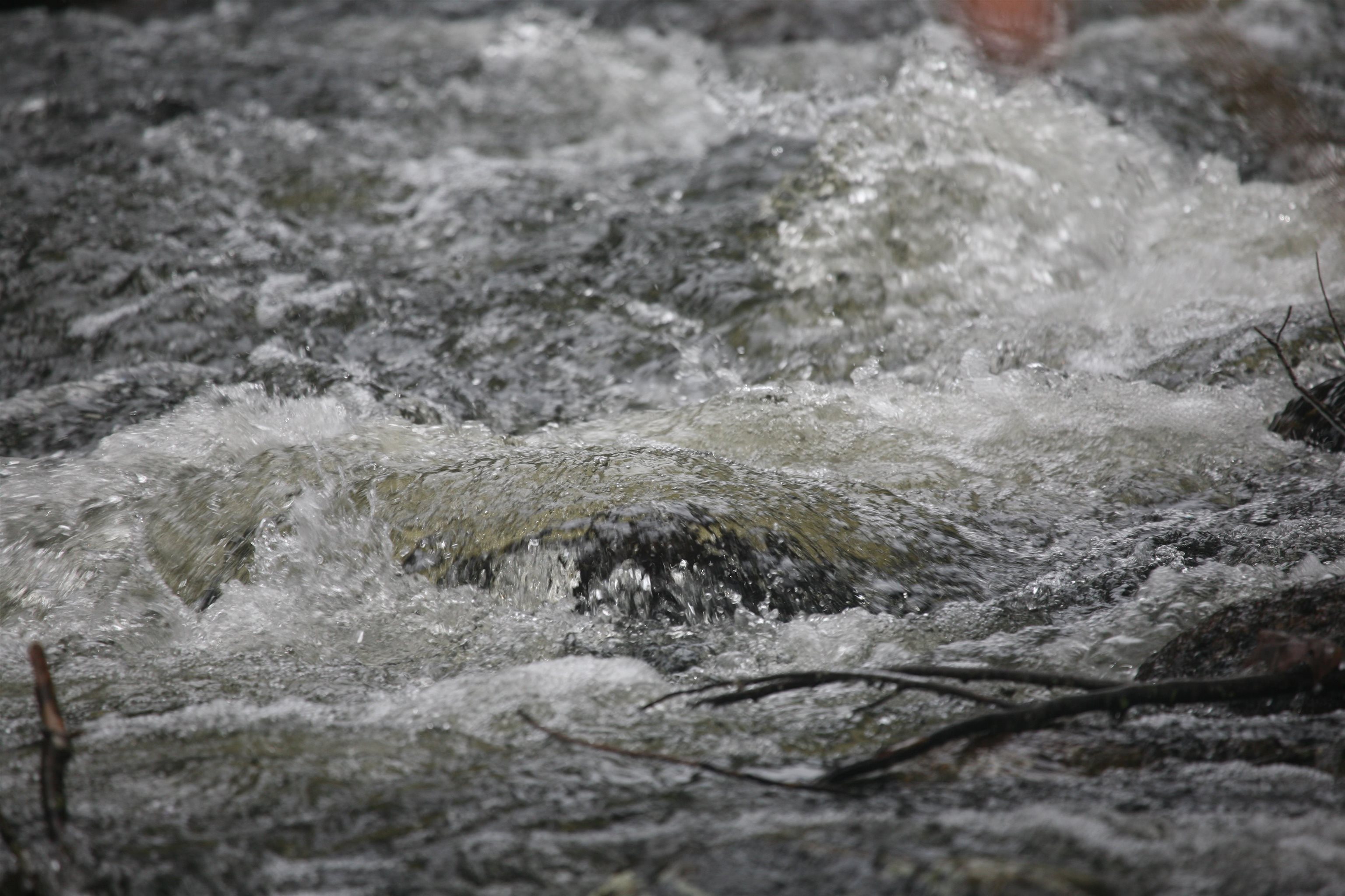 481 Chocorua Mountain Highway