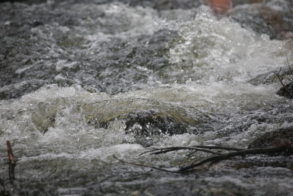 Photo of 481 Chocorua Mountain Highway, Tamworth, NH 03886 (MLS # 5023619)