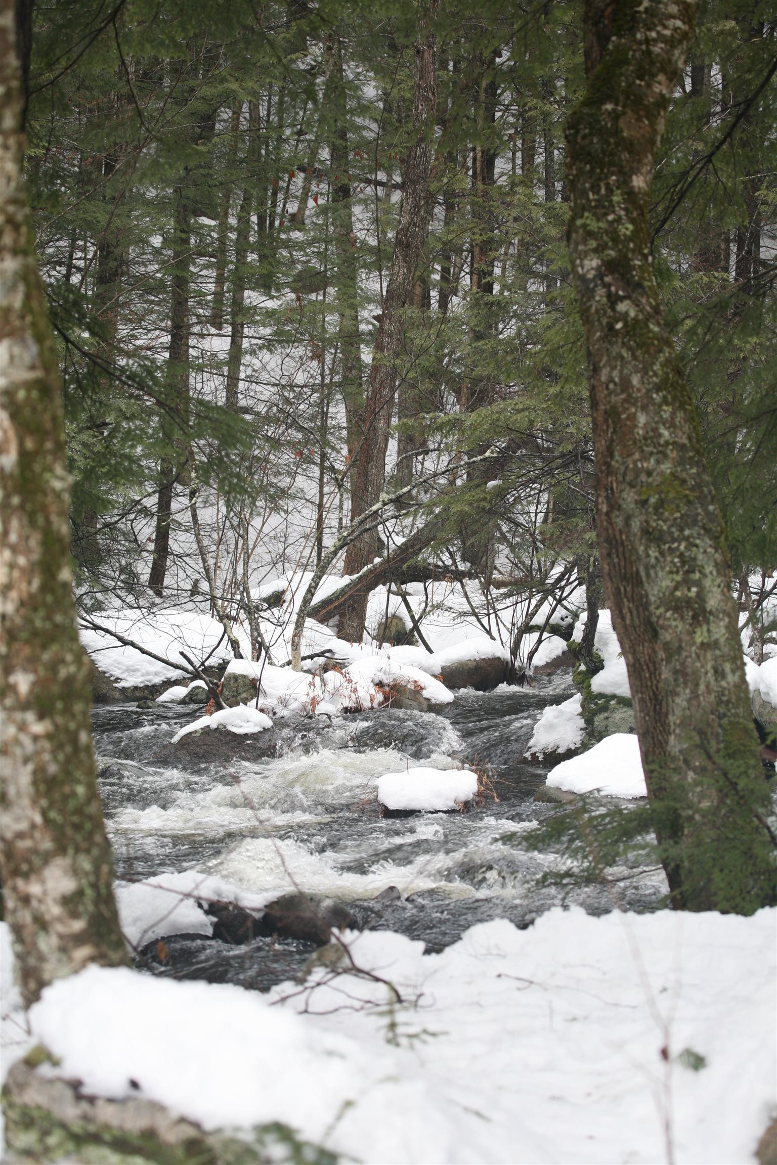 481 Chocorua Mountain Highway