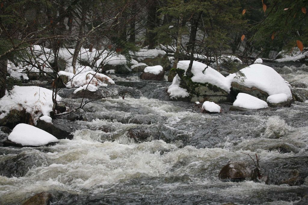 Photo of 481 Chocorua Mountain Highway, Tamworth, NH 03886 (MLS # 5023619)