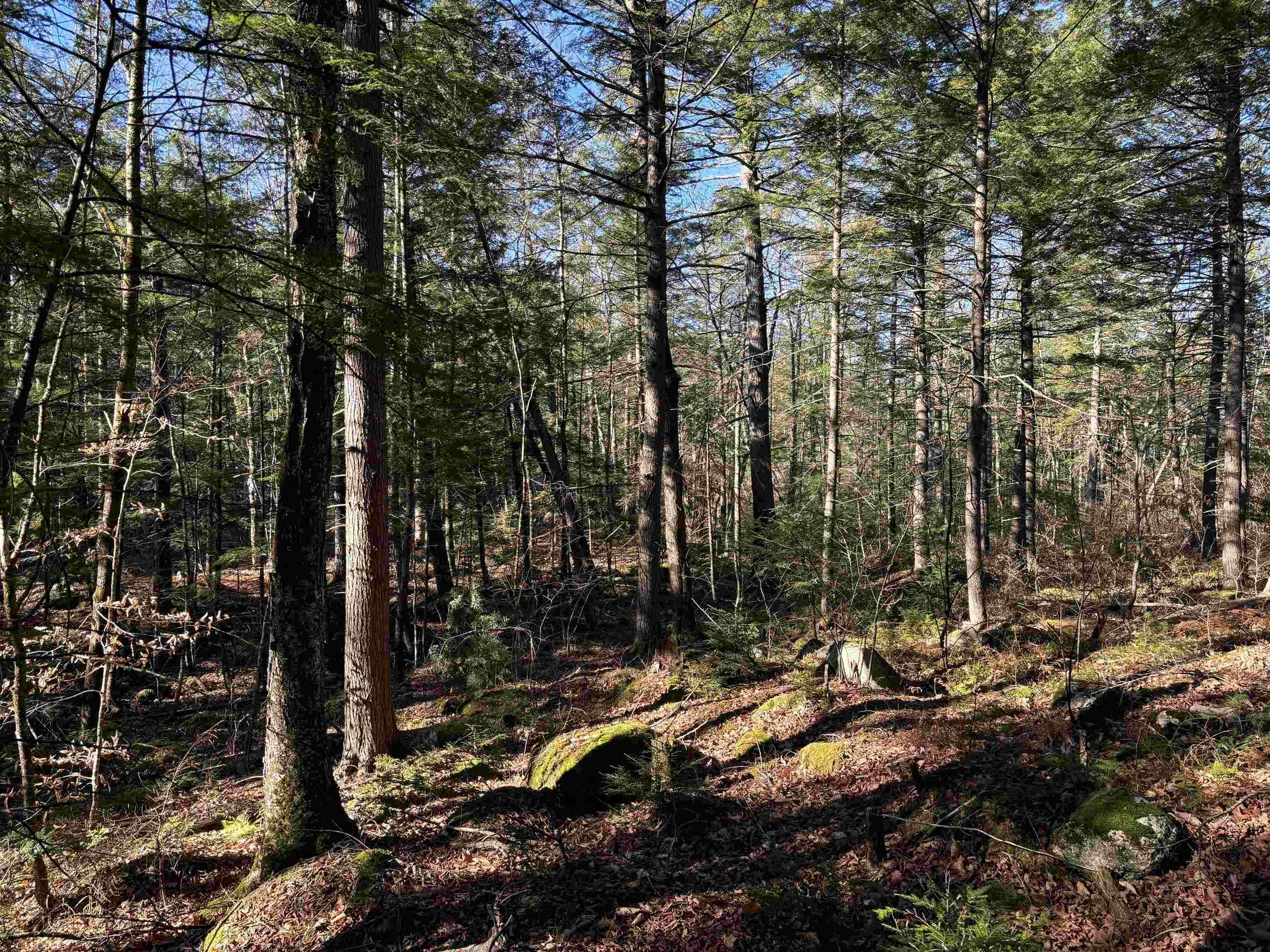481 Chocorua Mountain Highway