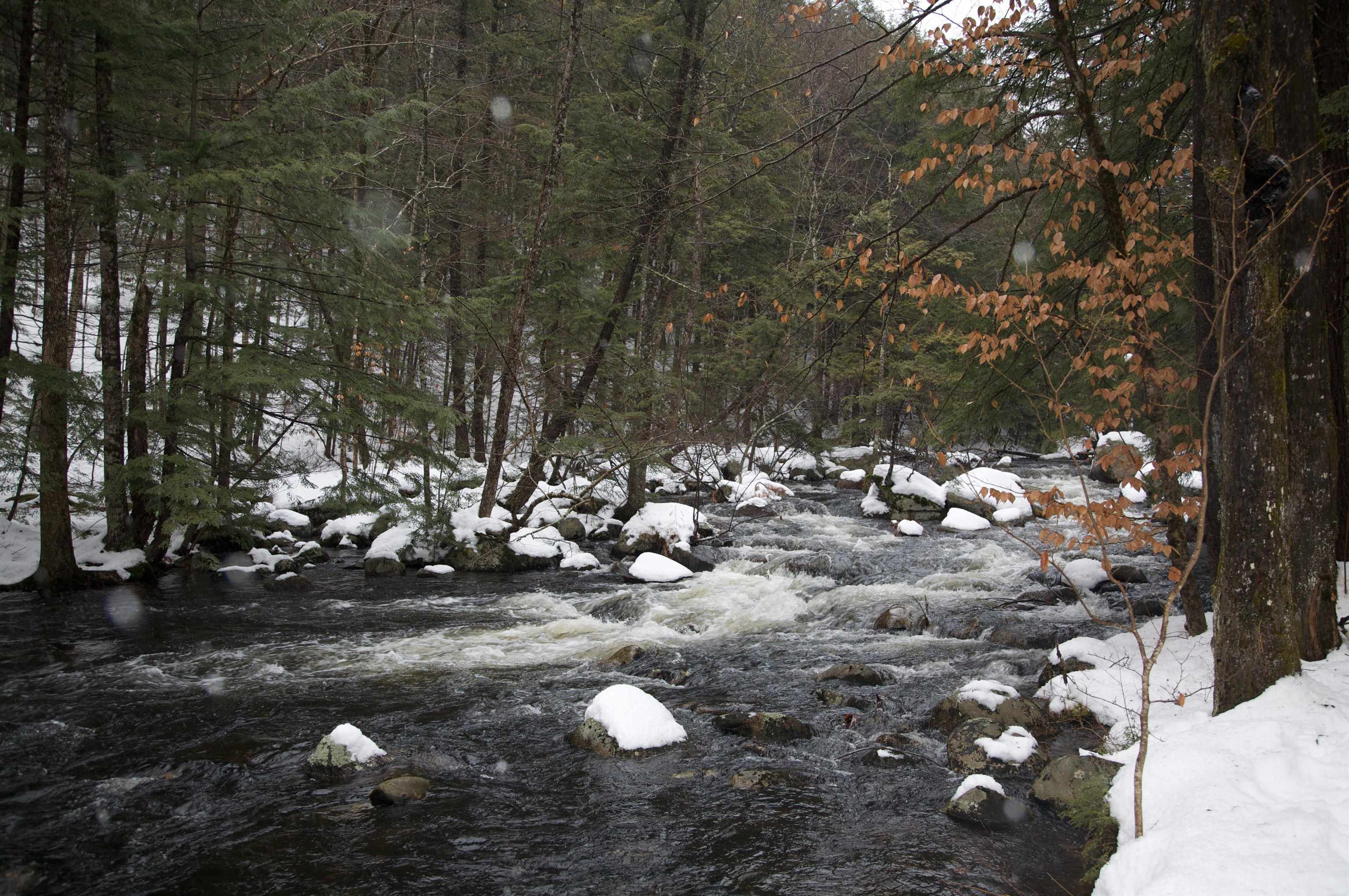 481 Chocorua Mountain Highway