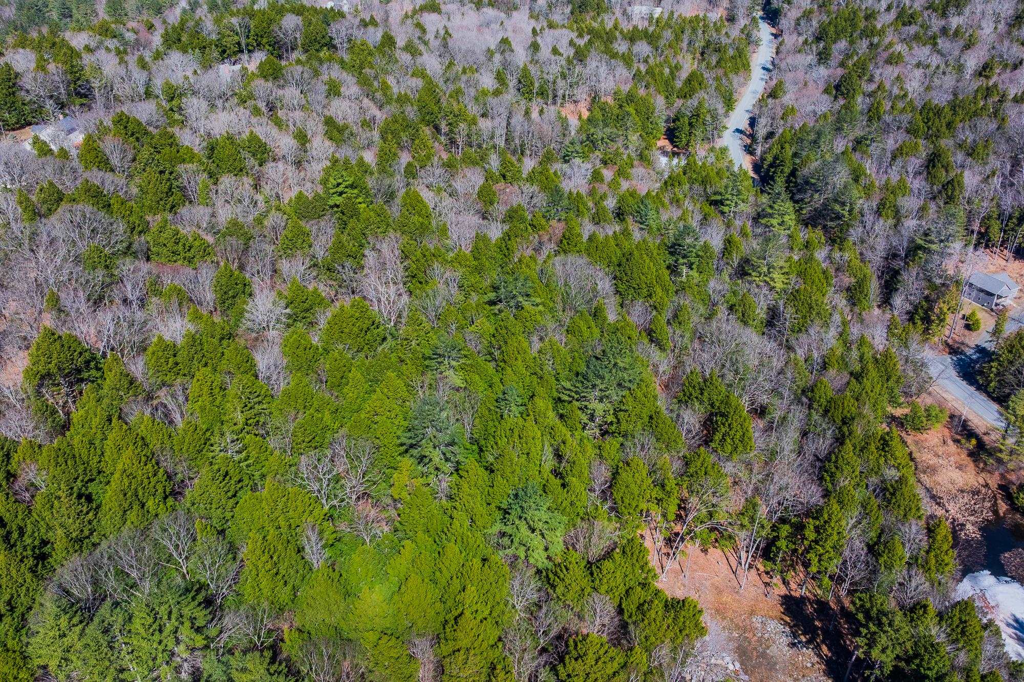 5209 5211 Willard Road 5209 -5211