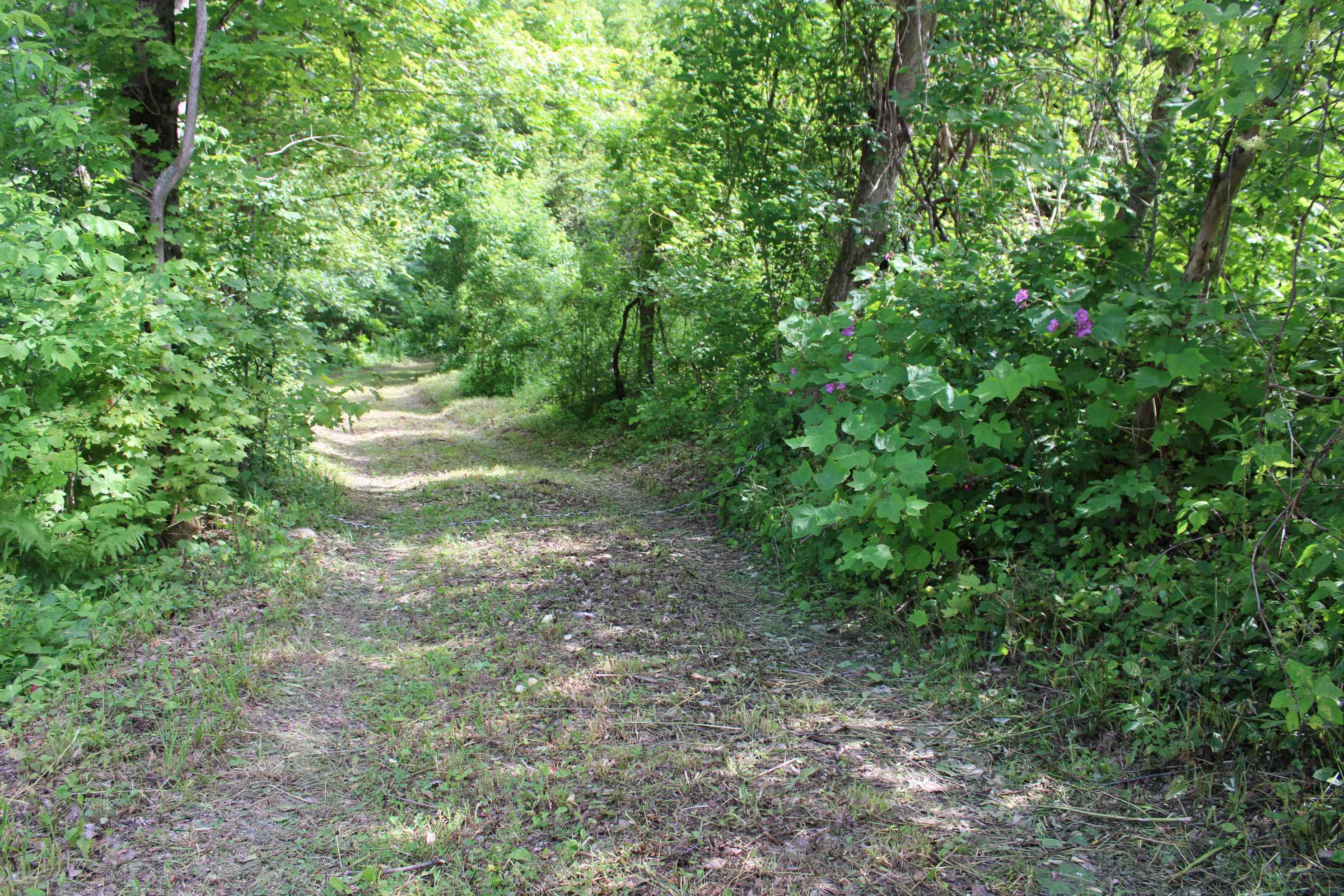 3131 Old Otis Road