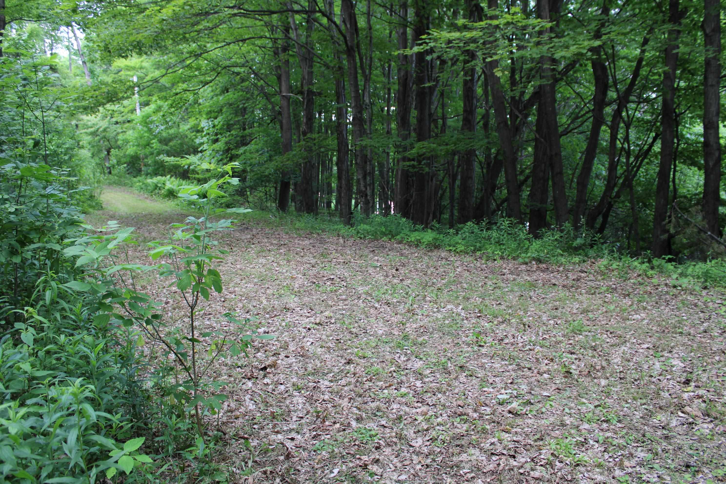 3131 Old Otis Road
