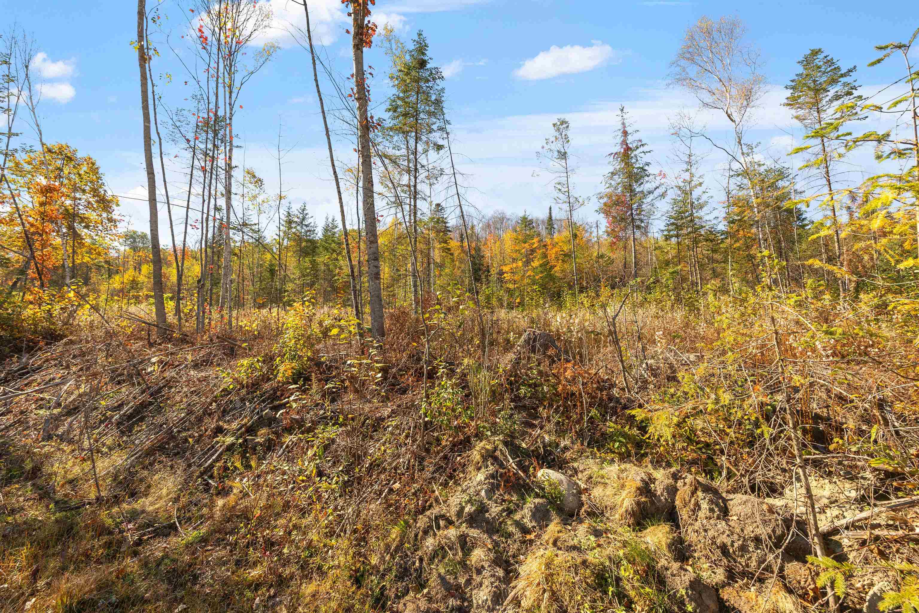 Lot 22 Hartco Avenue