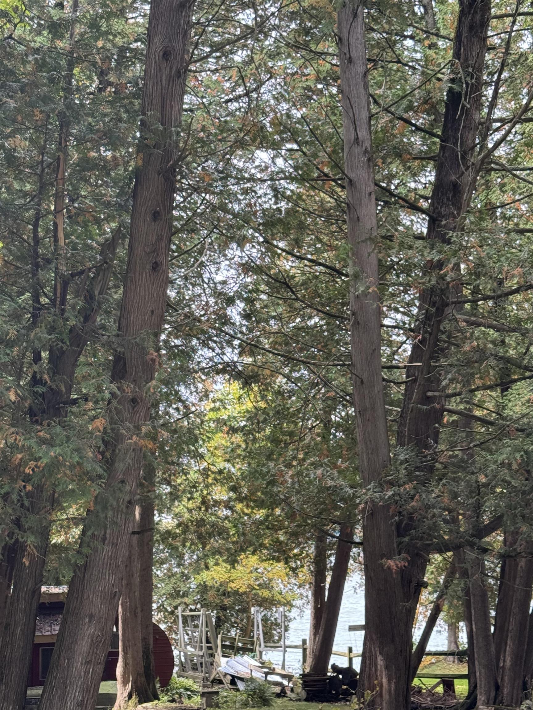 35 Hammond Shore Road