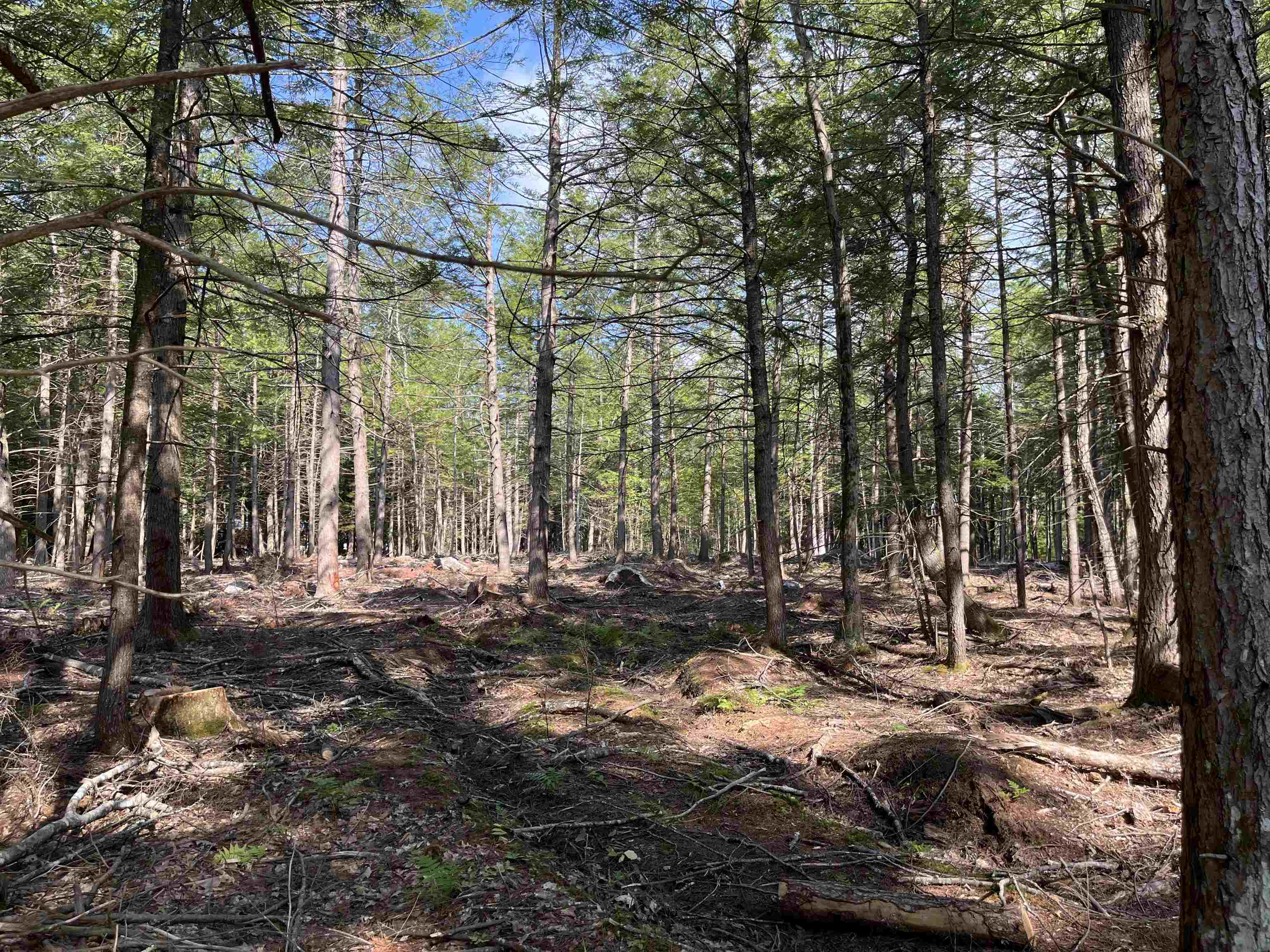 61 Dame Road 044-002-018