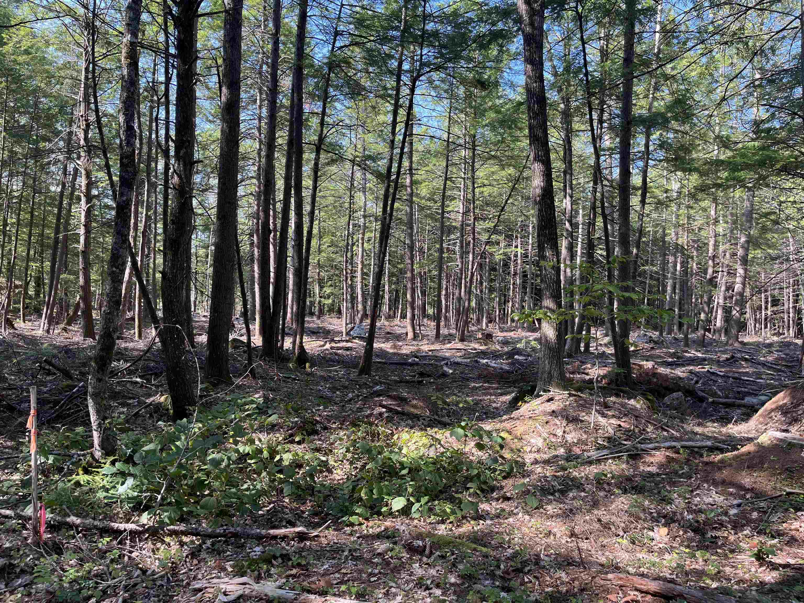 61 Dame Road 044-002-018