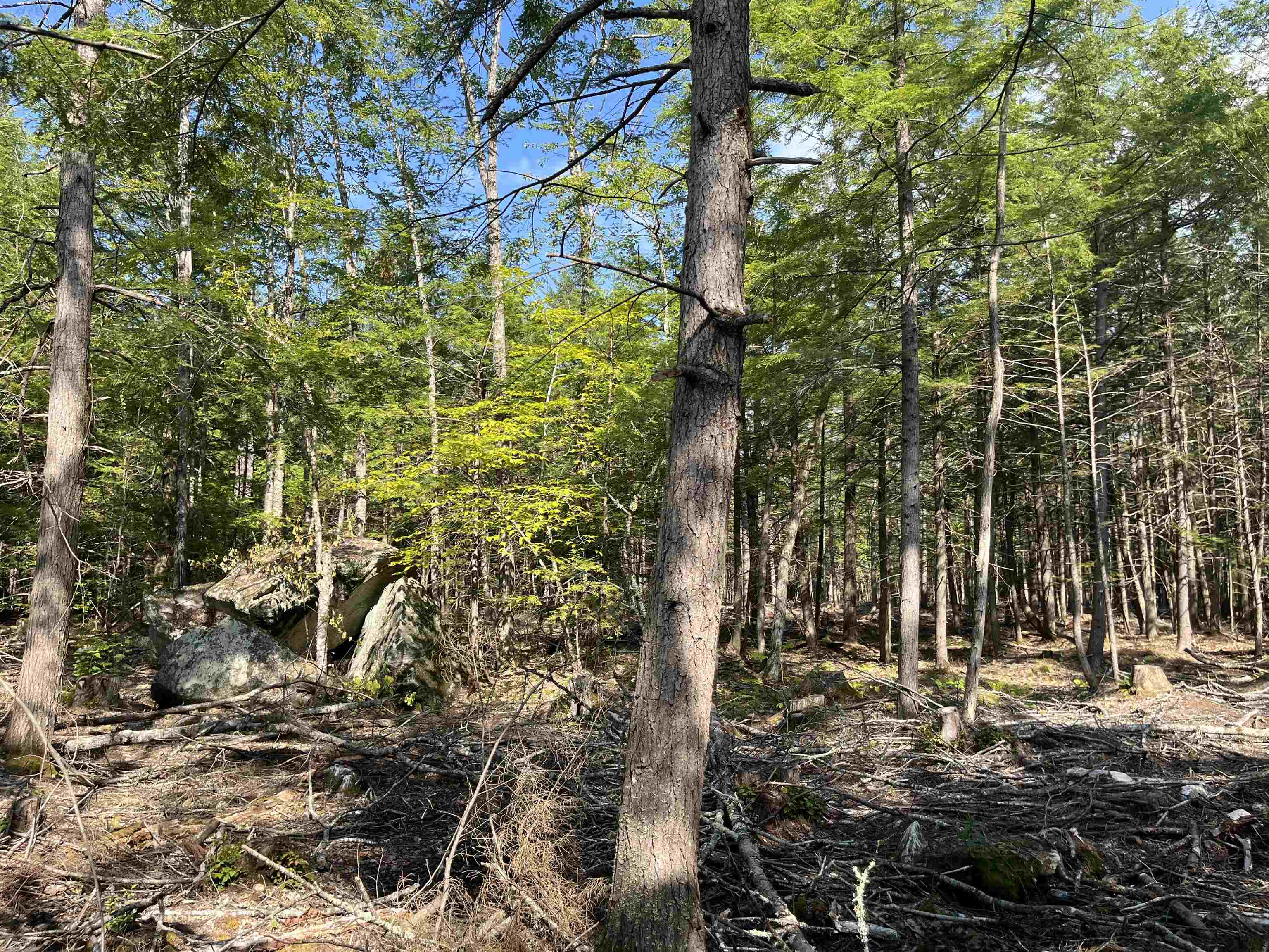 61 Dame Road 044-002-018