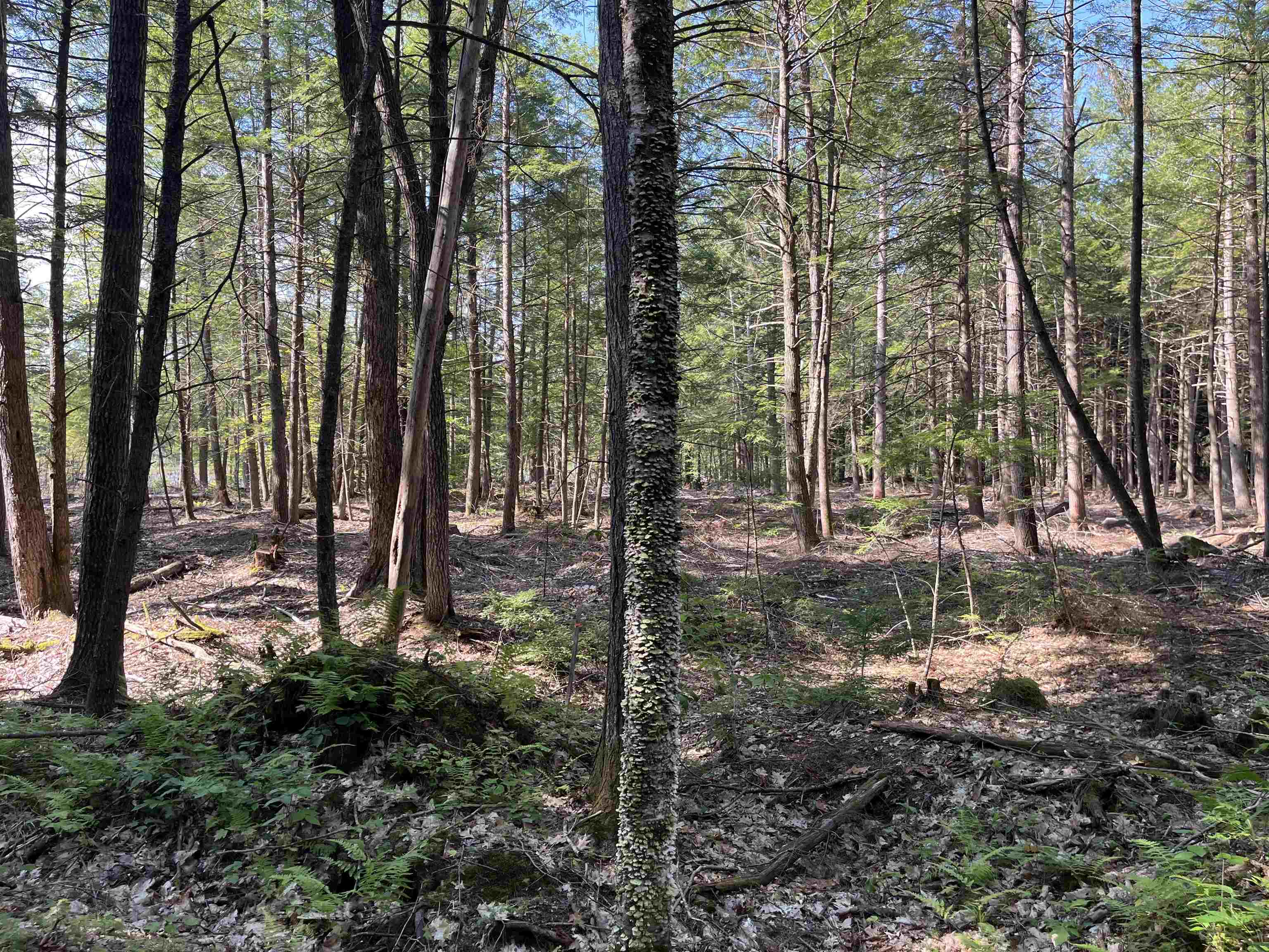 61 Dame Road 044-002-018