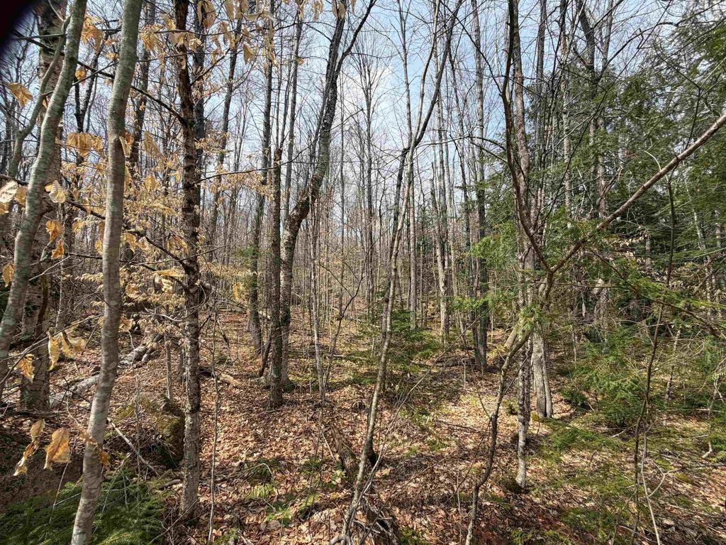 Photo of 00 Hickory Overlook, Enfield, NH 03748 (MLS # 5083989)