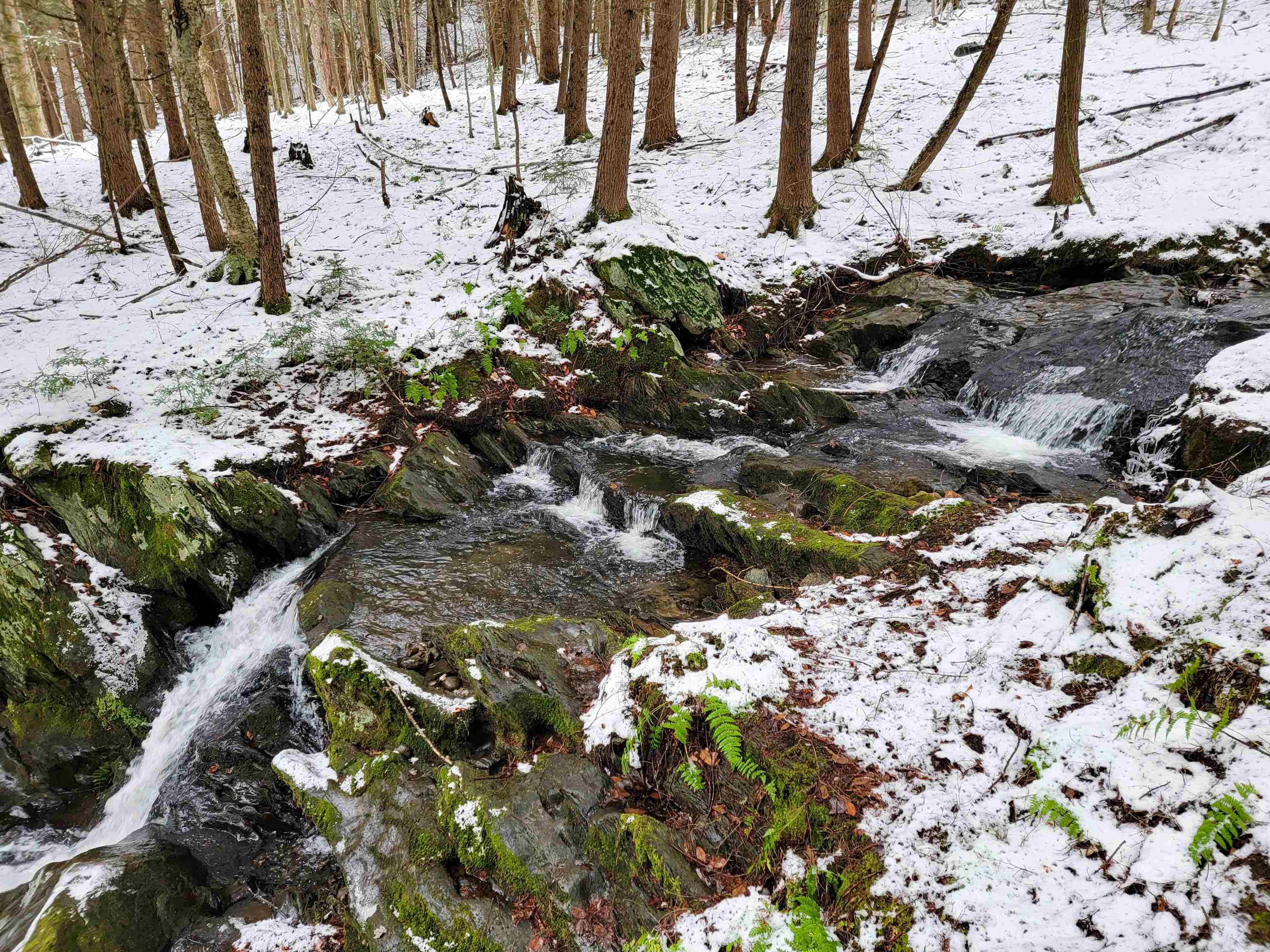 167 High Meadow Road