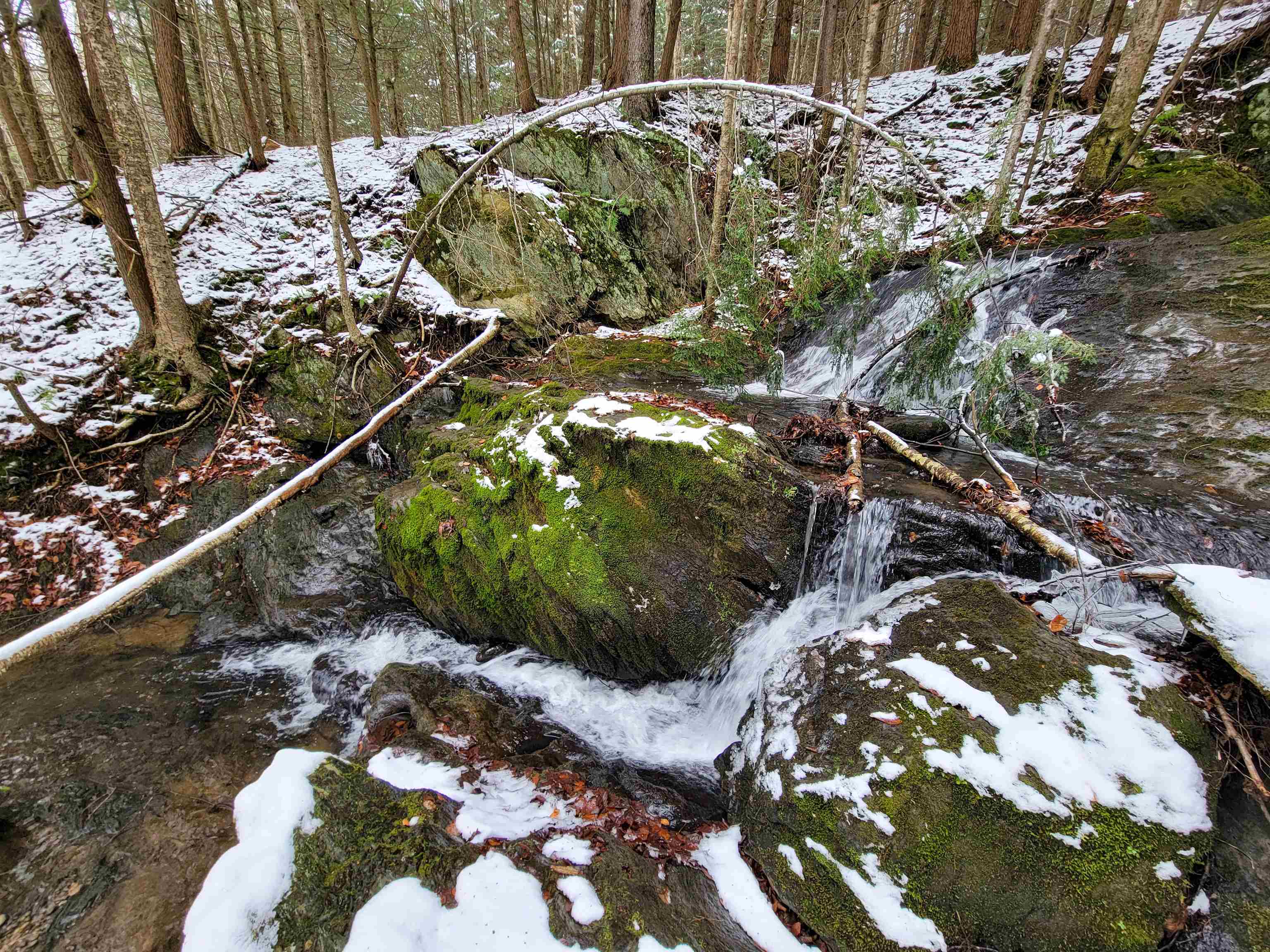 167 High Meadow Road