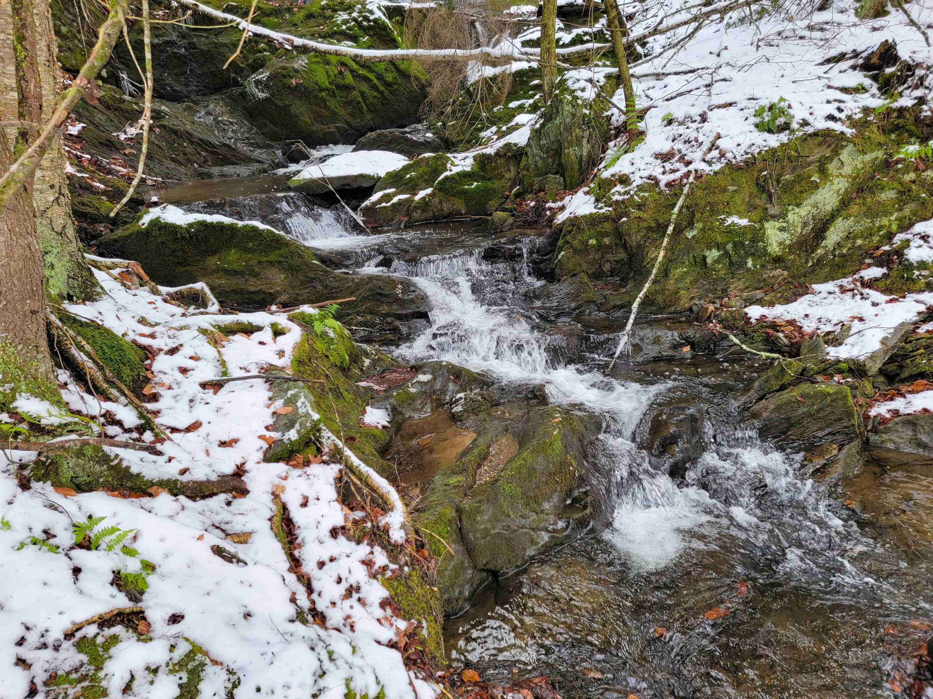 167 High Meadow Road