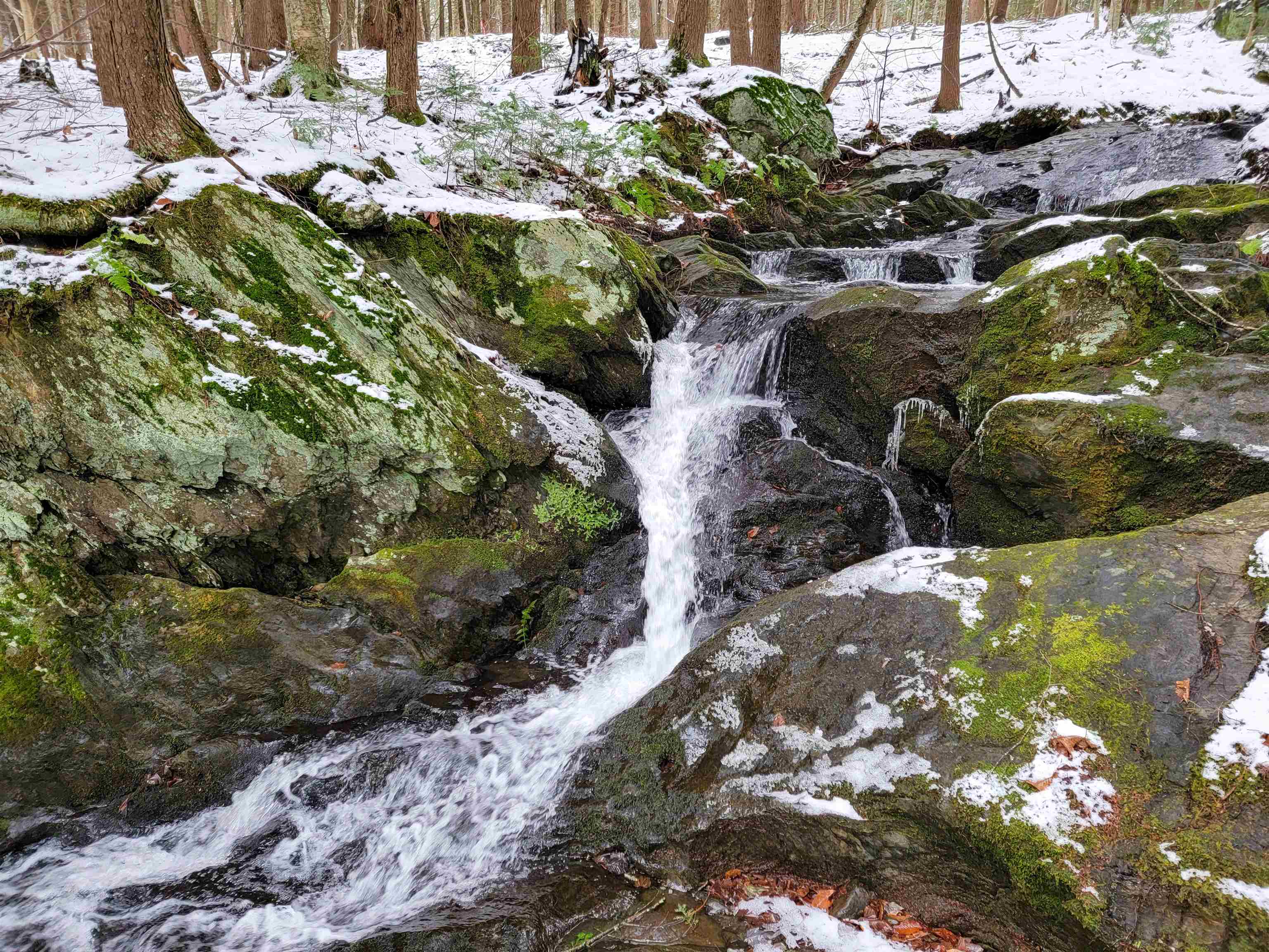 167 High Meadow Road