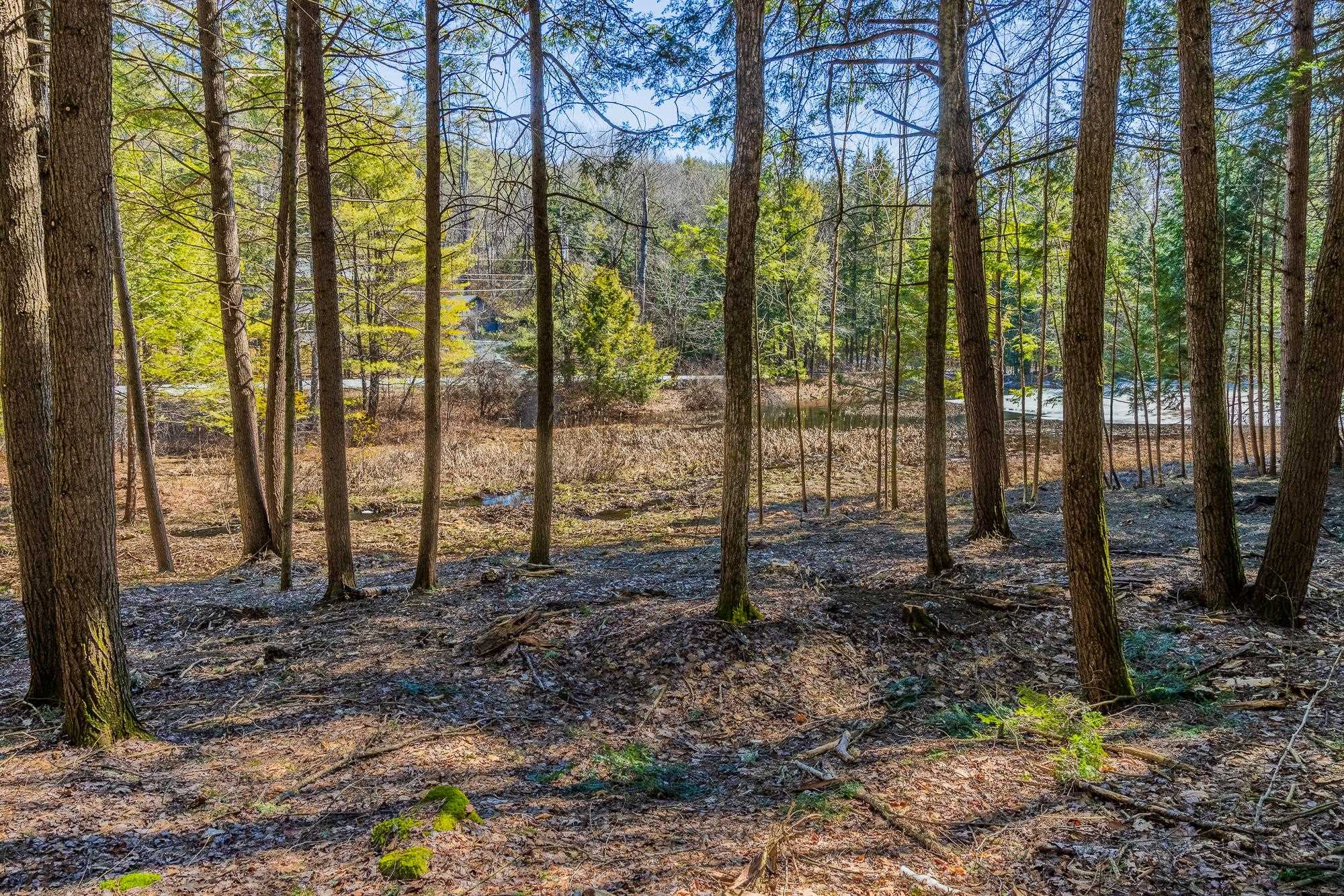 5209 Willard Road