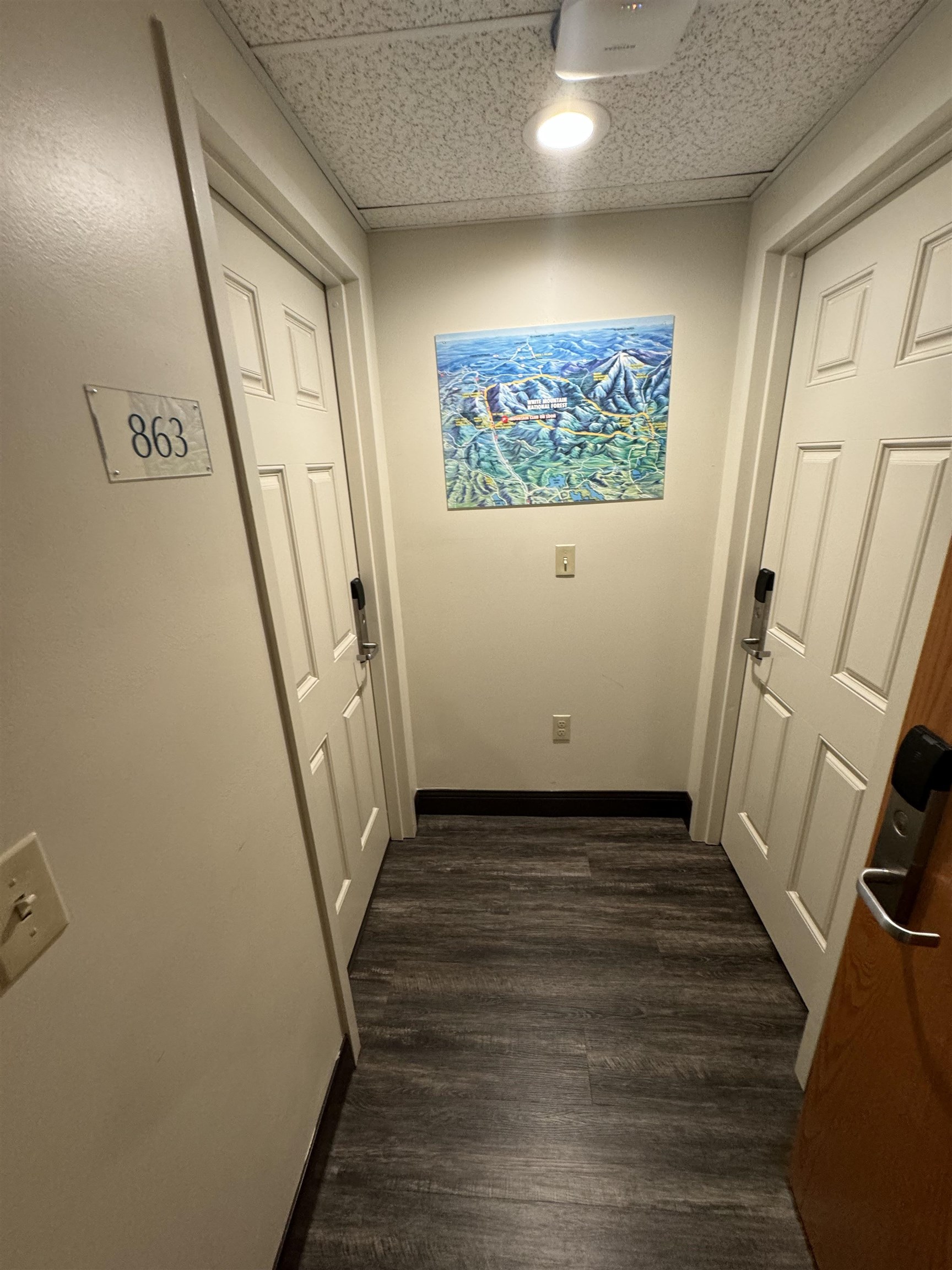 90 Loon Mountain Road 861D