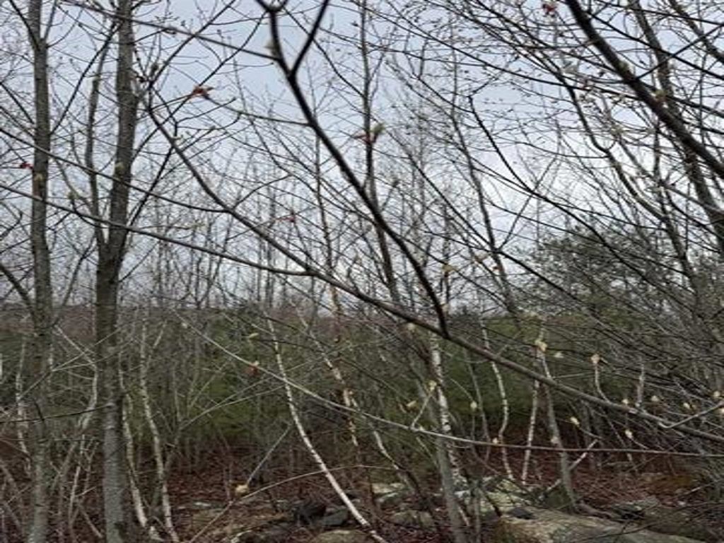 Photo of TBD Mason Road, Milton, NH 03851 (MLS # 5080423)