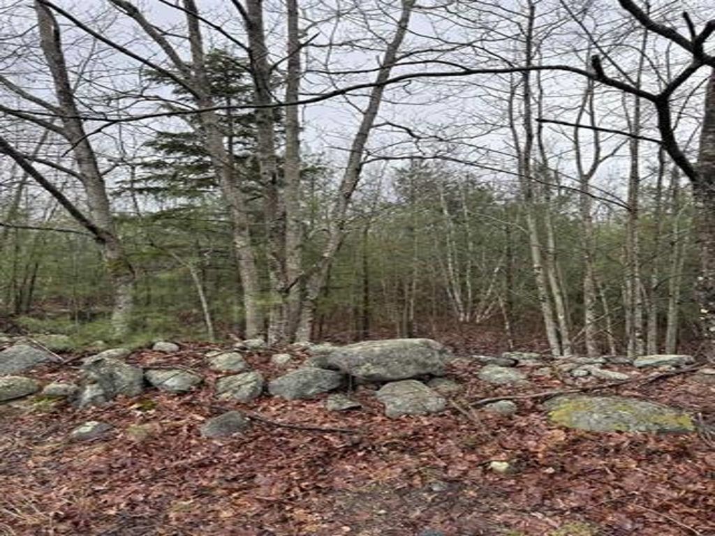 Photo of TBD Mason Road, Milton, NH 03851 (MLS # 5080423)