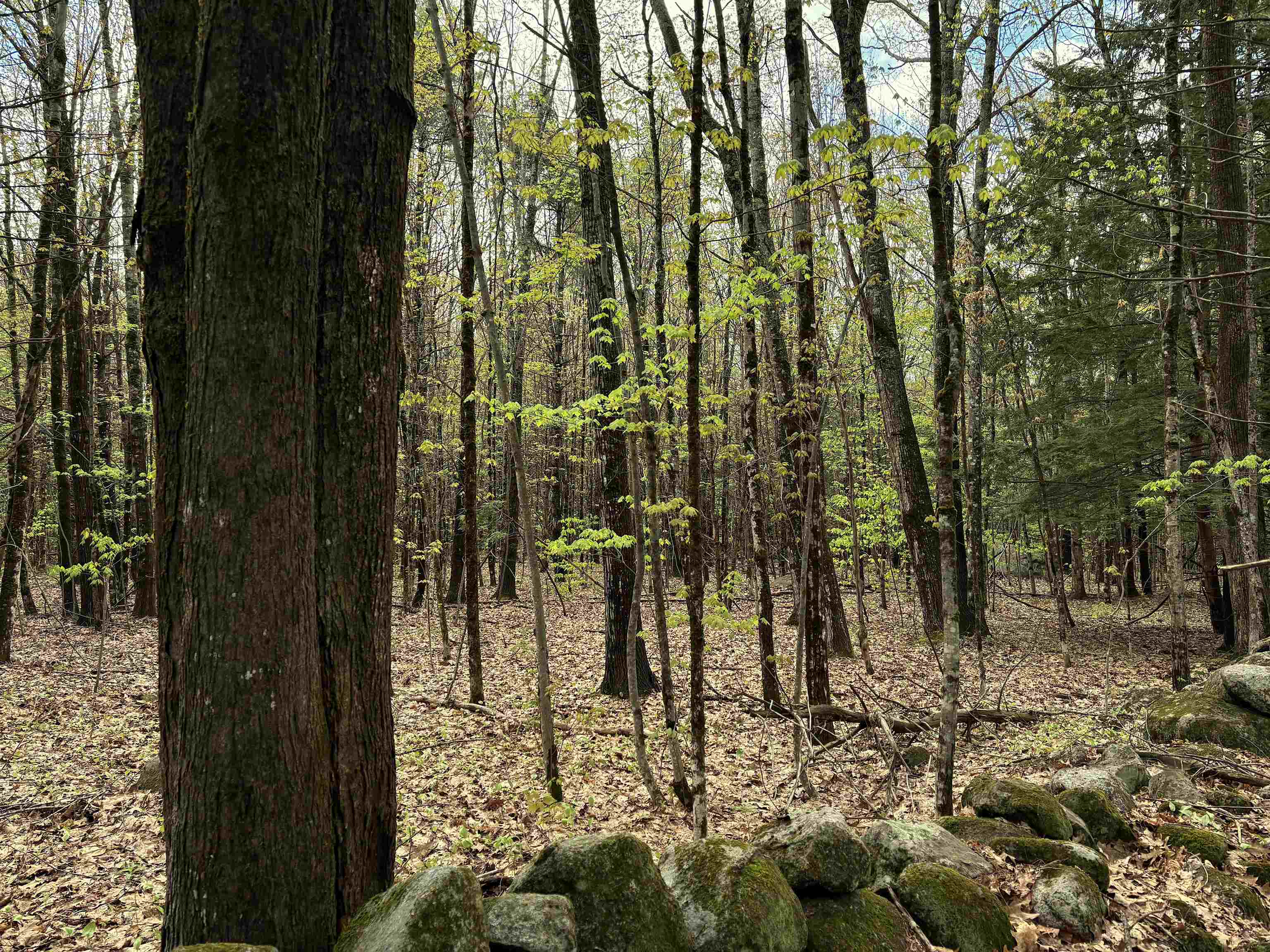 000 Kearsarge Mt Road