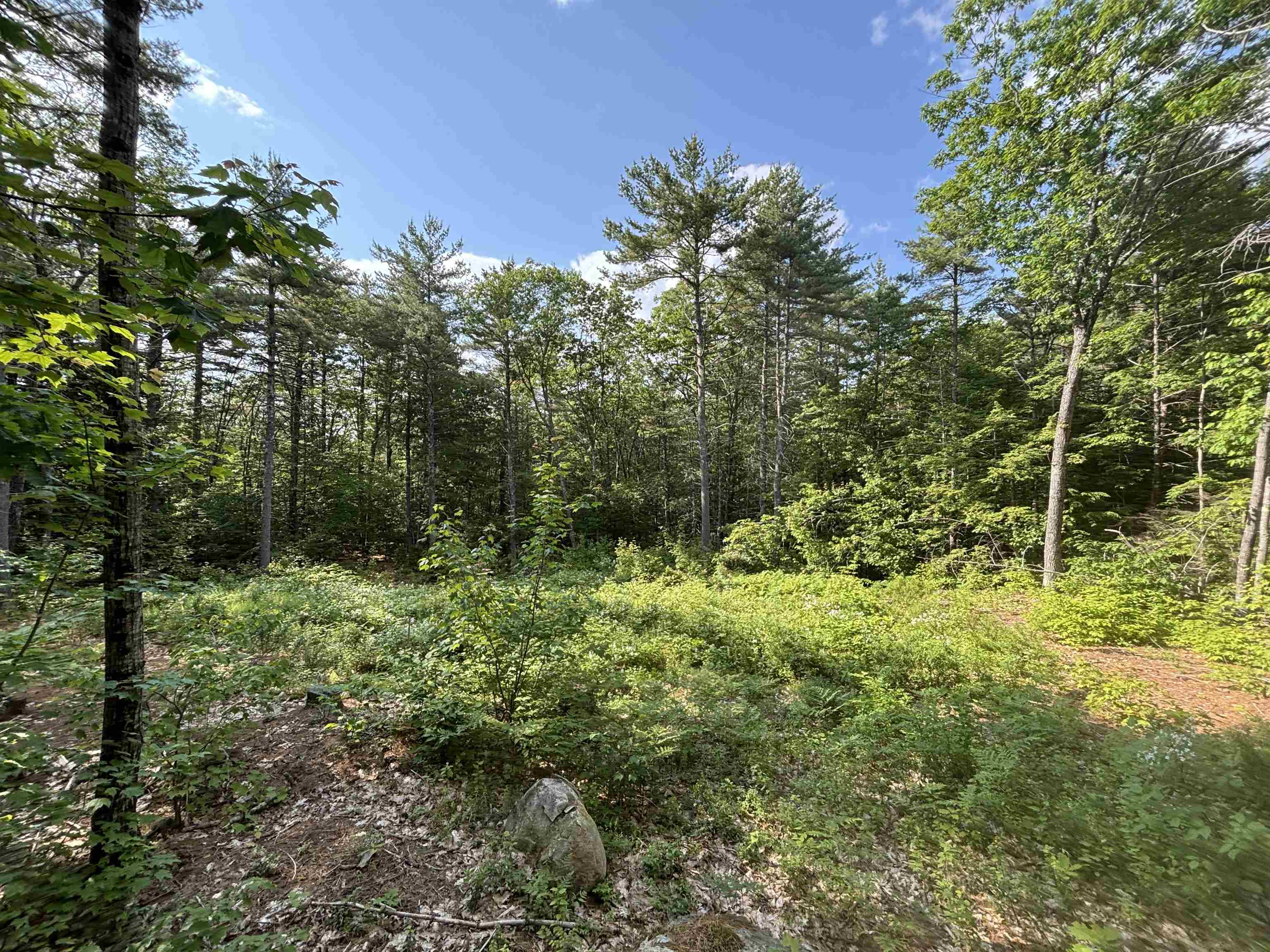 00 Davis Hill Road 5-2