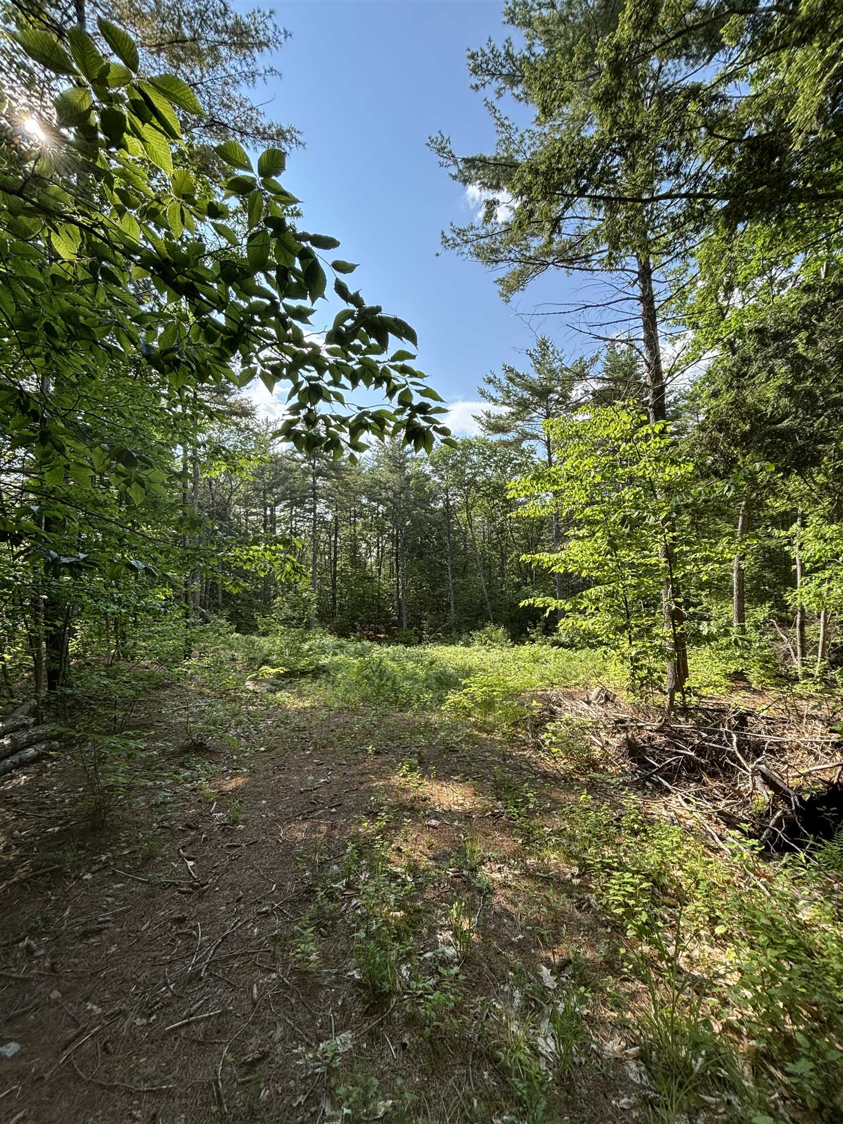00 Davis Hill Road 5-2
