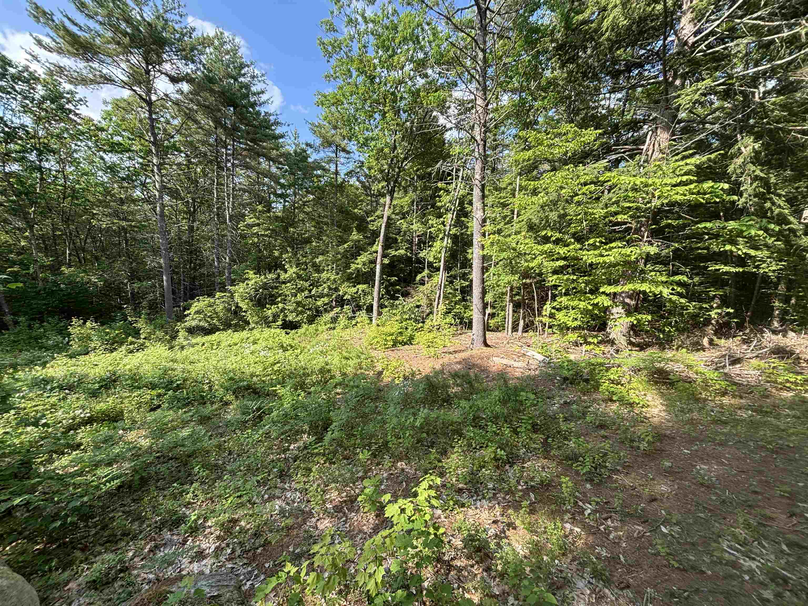 00 Davis Hill Road 5-2