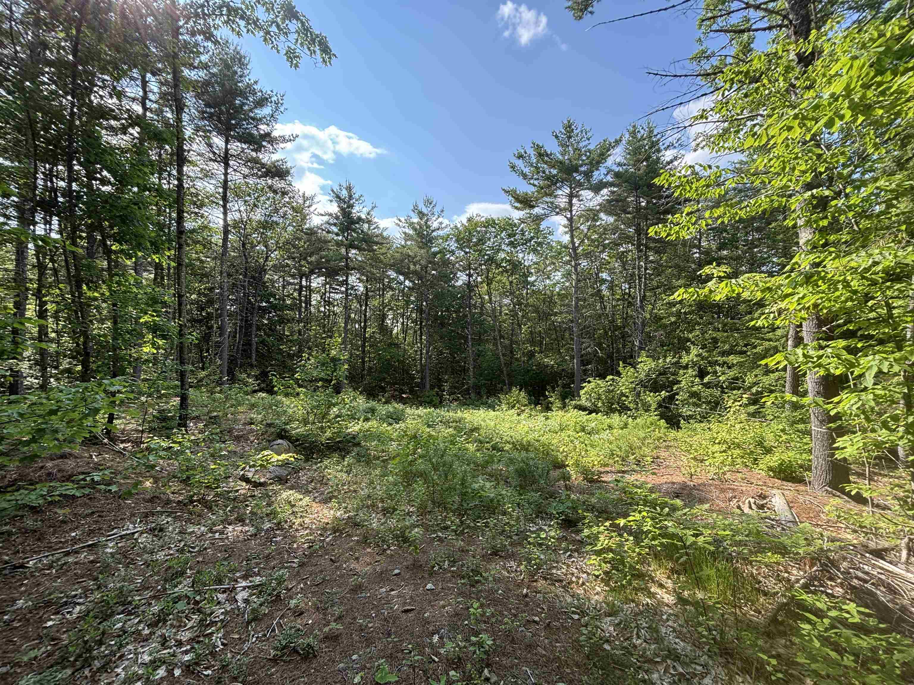 00 Davis Hill Road 5-2