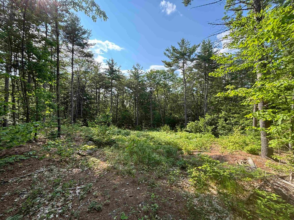 Photo of 00 Davis Hill Road #5-2, Conway, NH 03813 (MLS # 5046013)