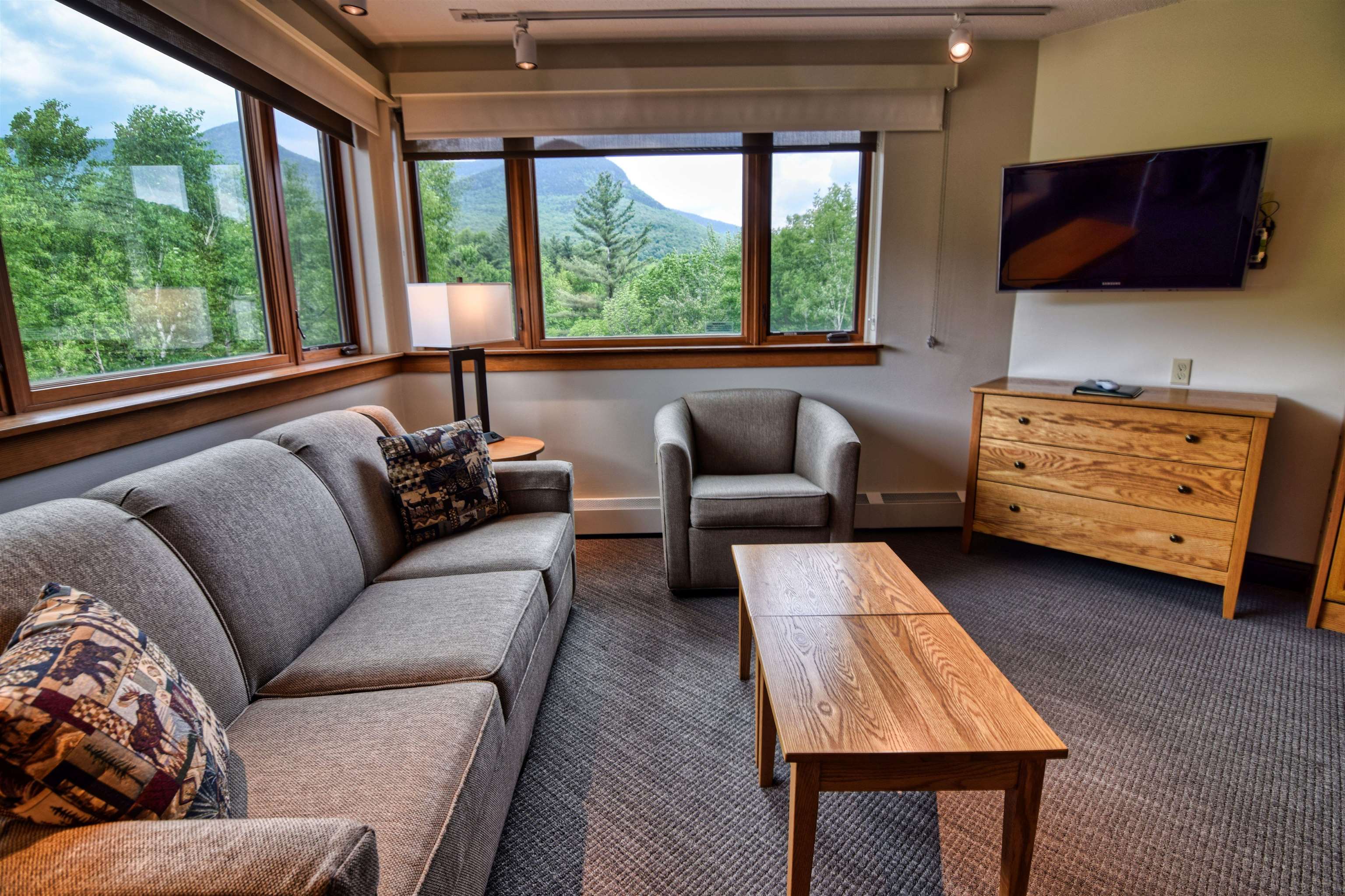 90 Loon Mountain Road 865C