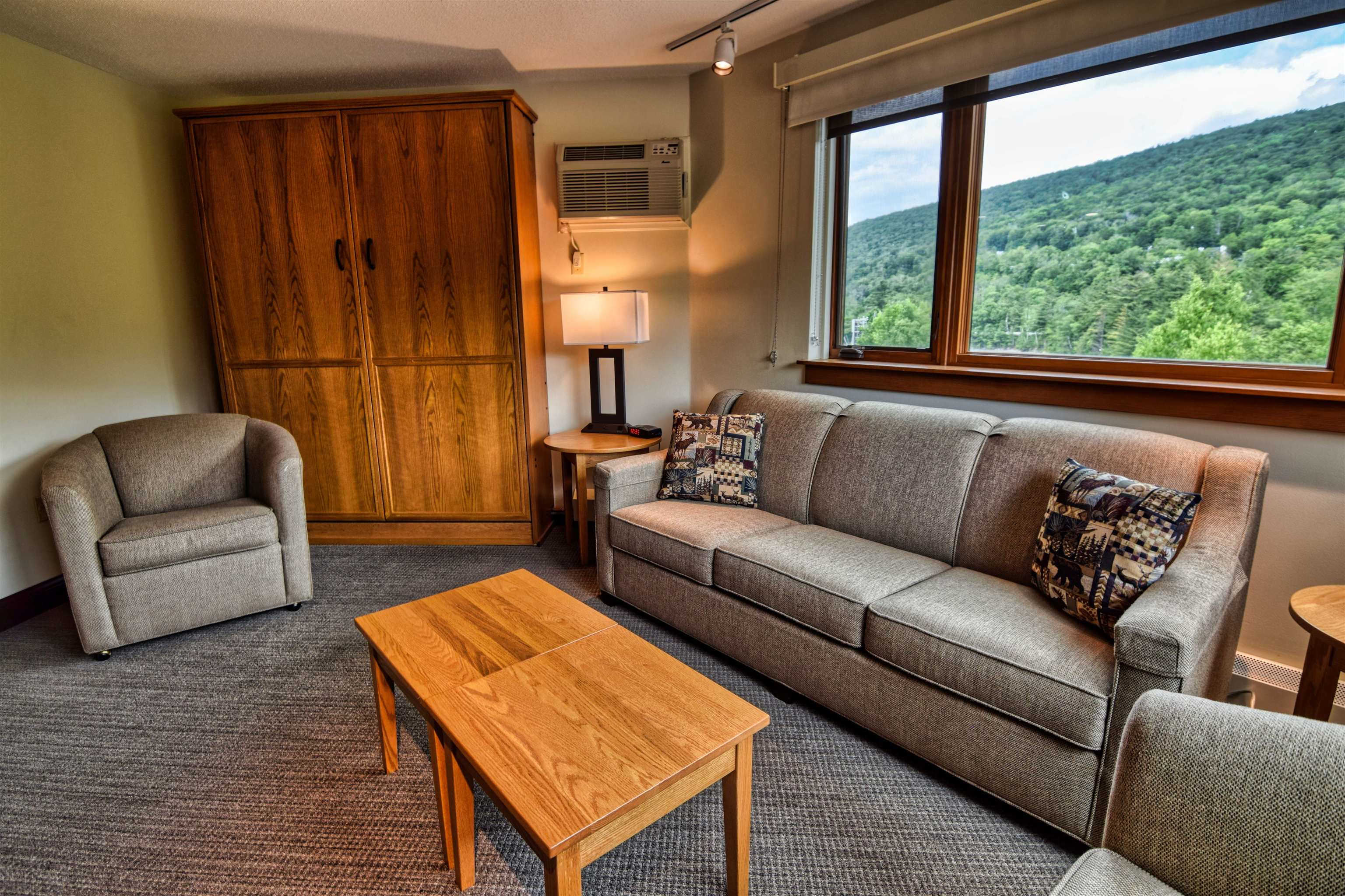 90 Loon Mountain Road 865C