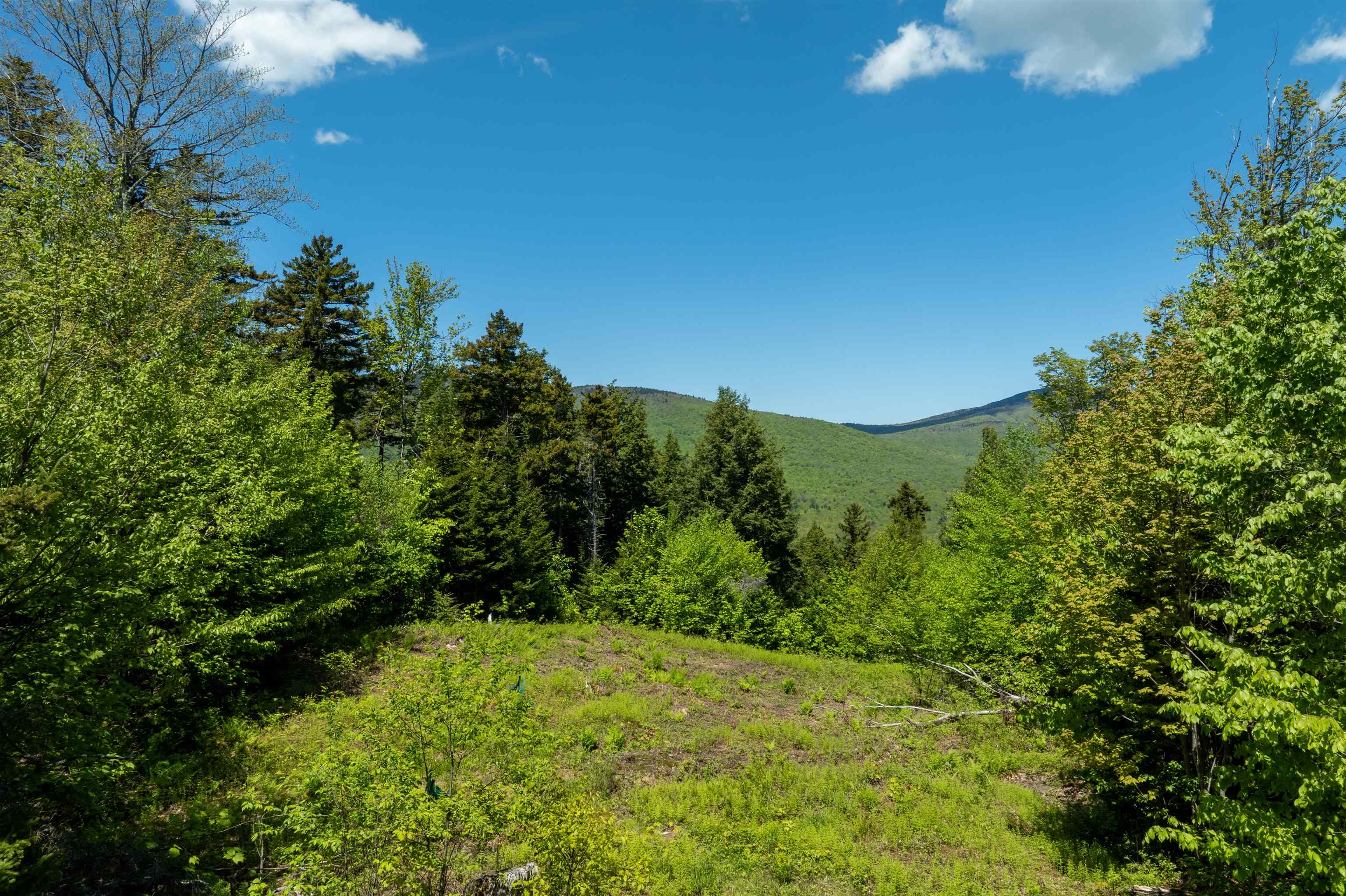0 Turtle Hill Road Lot #2