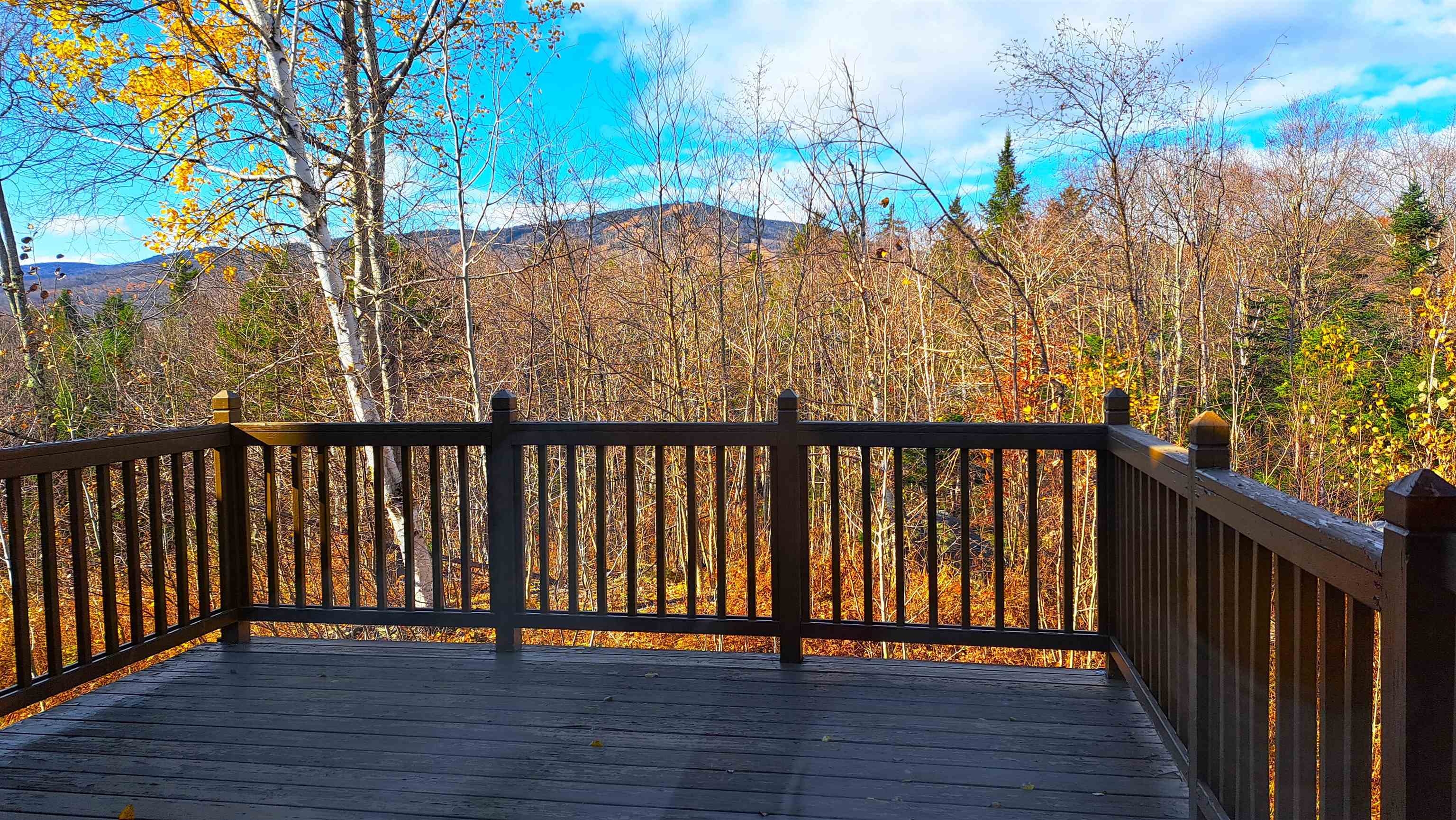 106 Silver Birch 17H