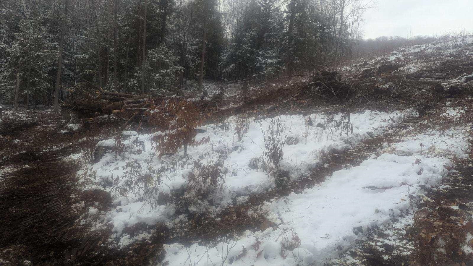 495 South Mendon Street