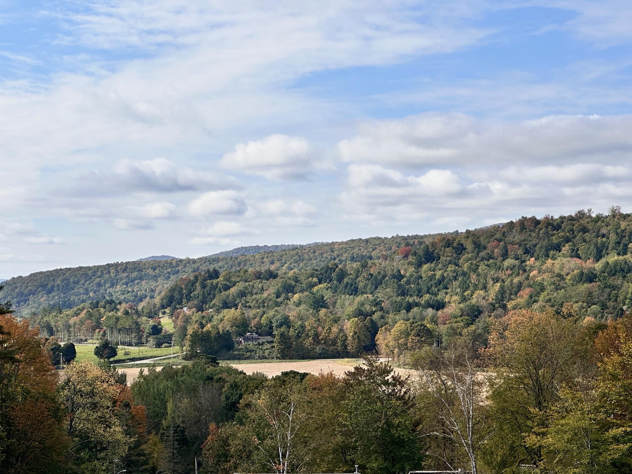 2364 mountain Road Lot #3