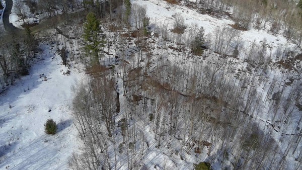 3 THURSTON HILL RD, ROXBURY, VT 05669 - Image f1822e367ca3f3bddeae6812ce2a26d0/3846778193