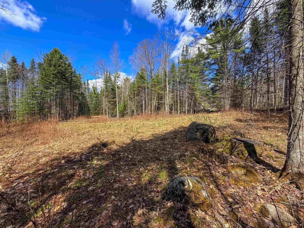 Photo of 40 Bear Paw Trail, Littleton, NH 03561 (MLS # 5072369)