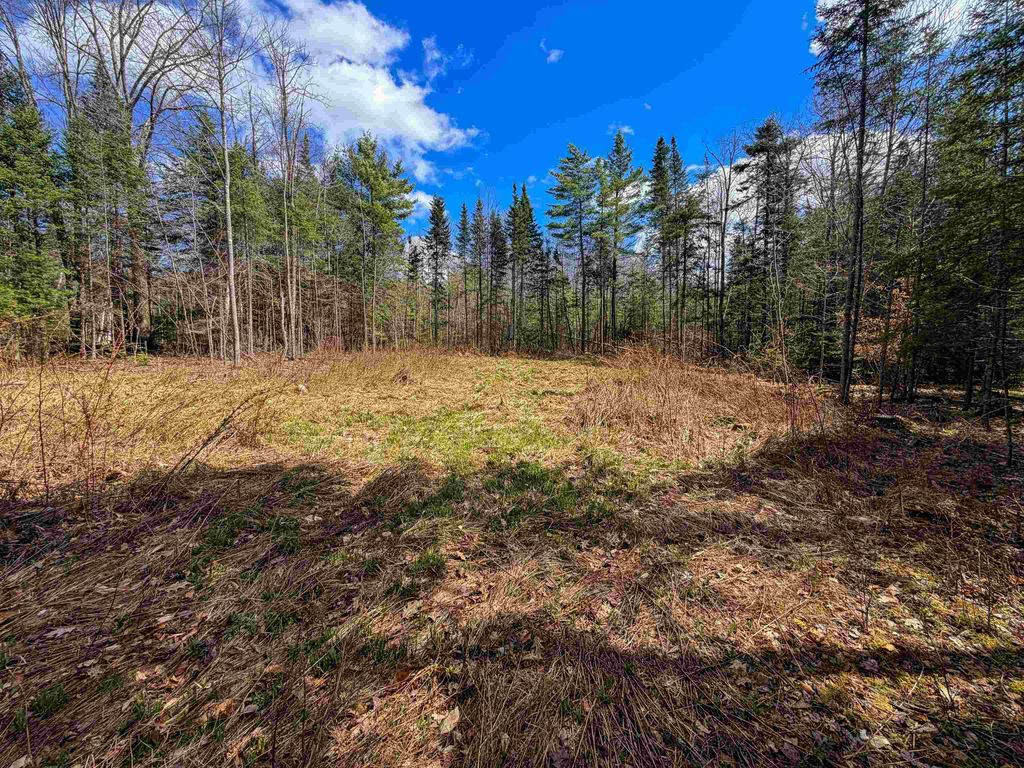 Photo of 40 Bear Paw Trail, Littleton, NH 03561 (MLS # 5072369)