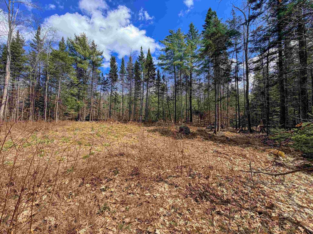 Photo of 40 Bear Paw Trail, Littleton, NH 03561 (MLS # 5072369)