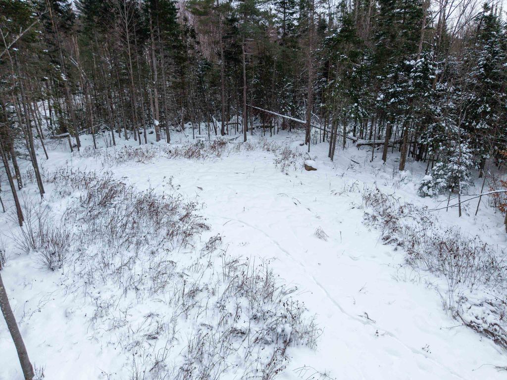 Photo of 40 Bear Paw Trail, Littleton, NH 03561 (MLS # 5072369)